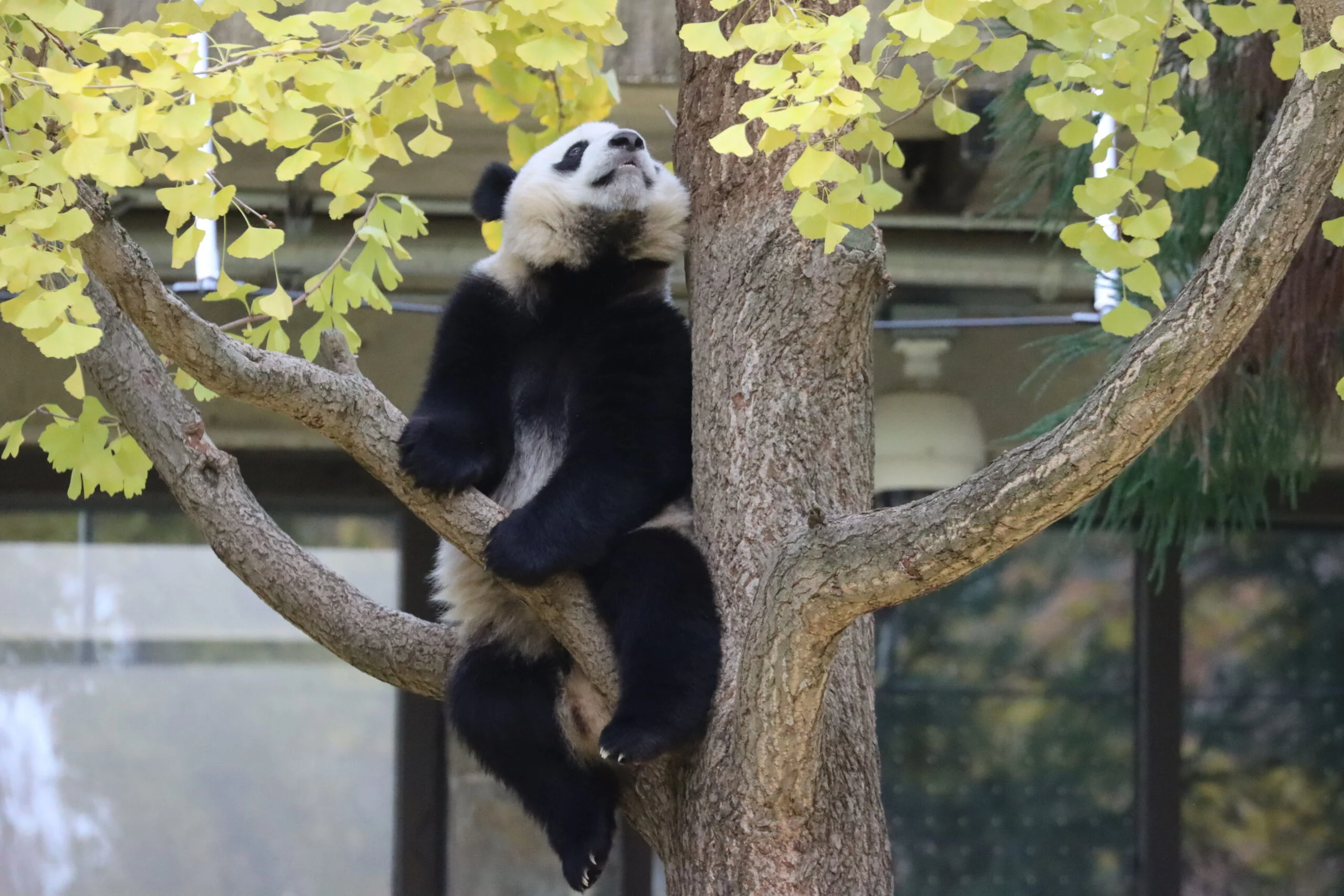 Smithsonian's National Zoo