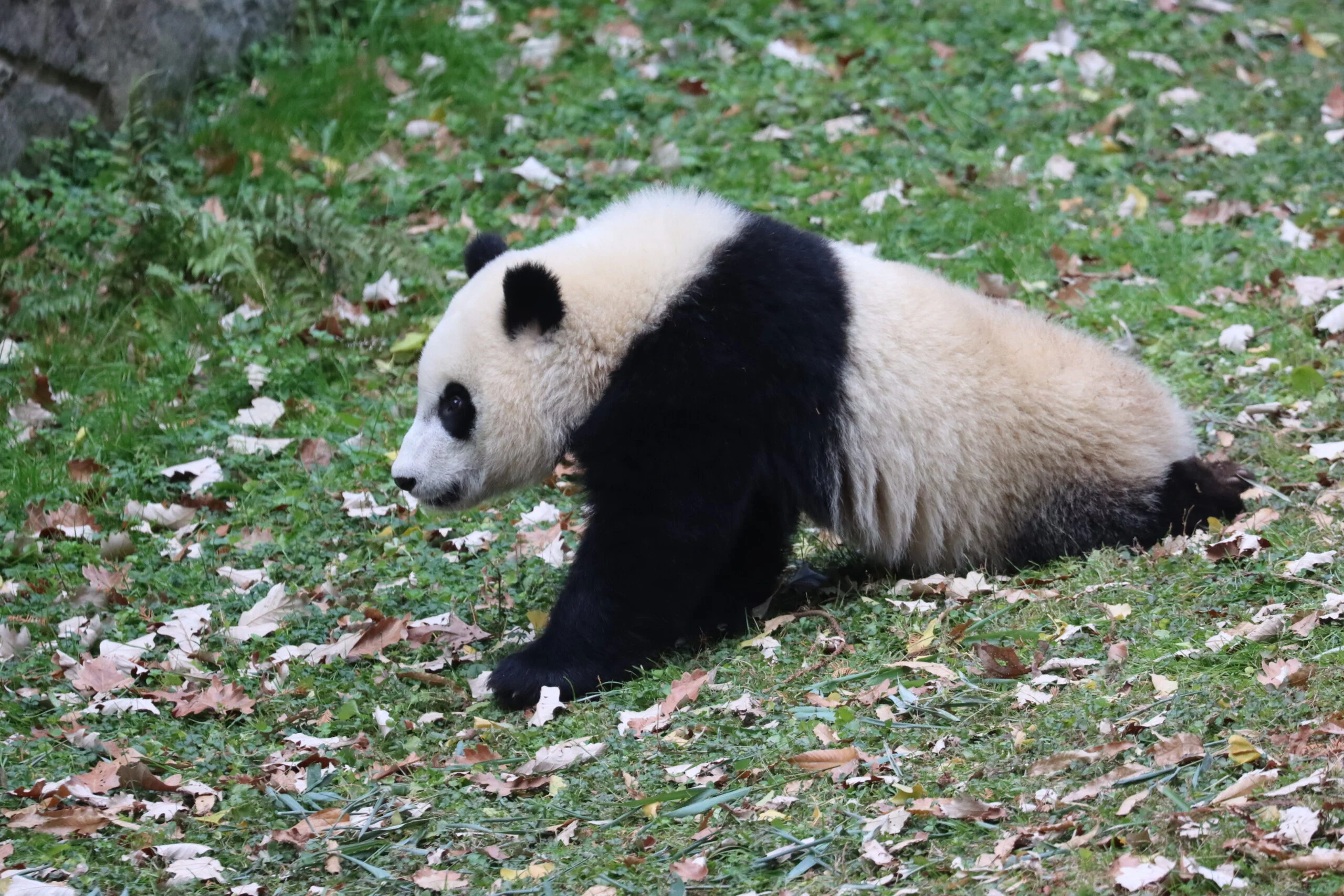 Smithsonian's National Zoo