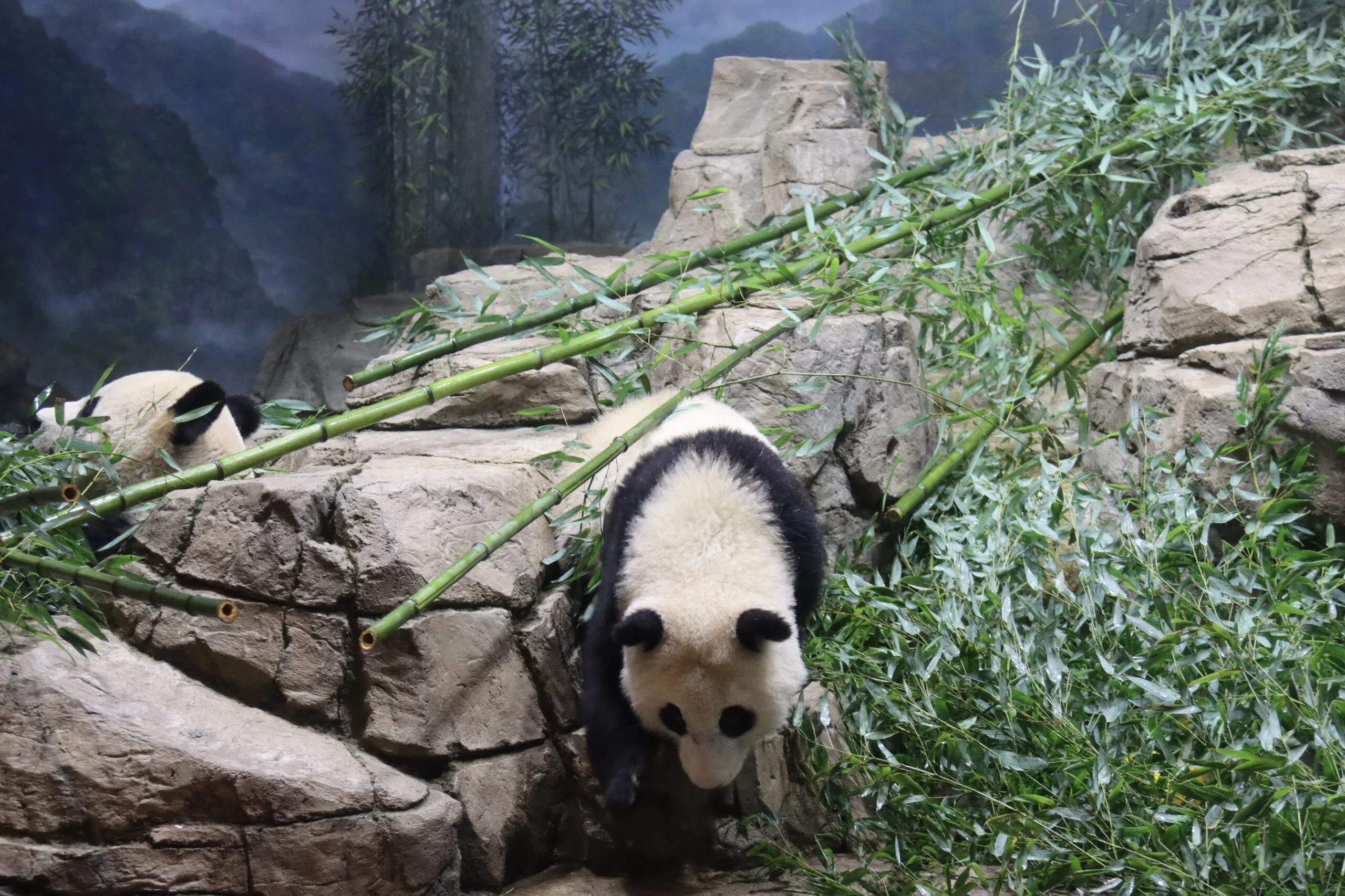 Smithsonian's National Zoo