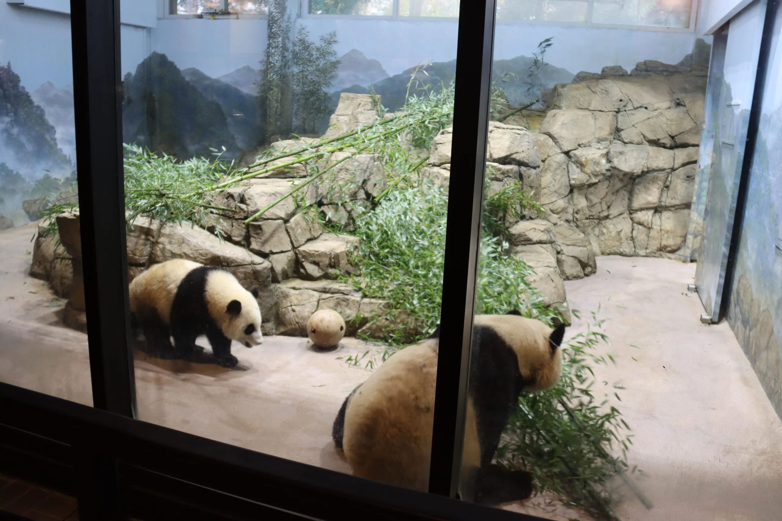 Smithsonian's National Zoo