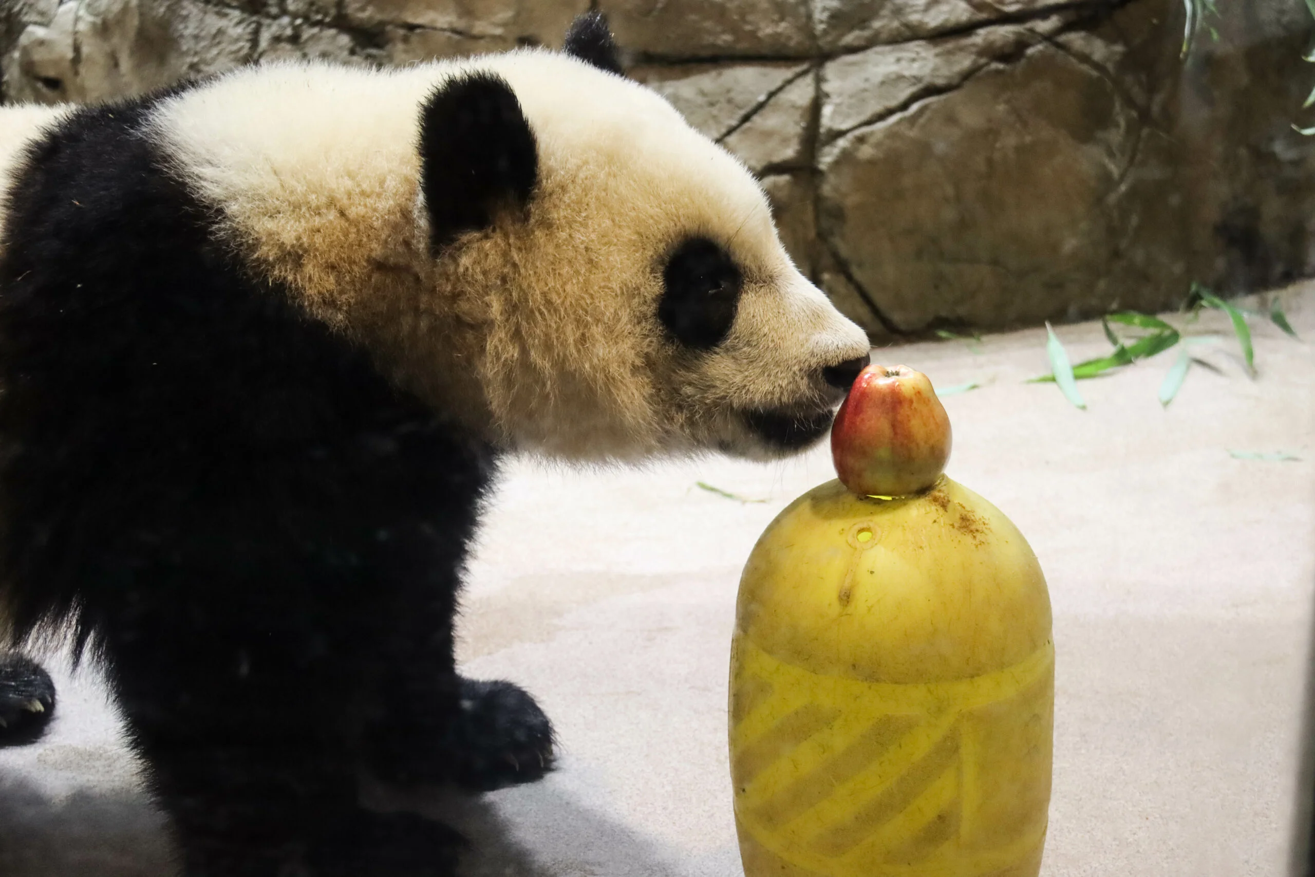 Smithsonian's National Zoo