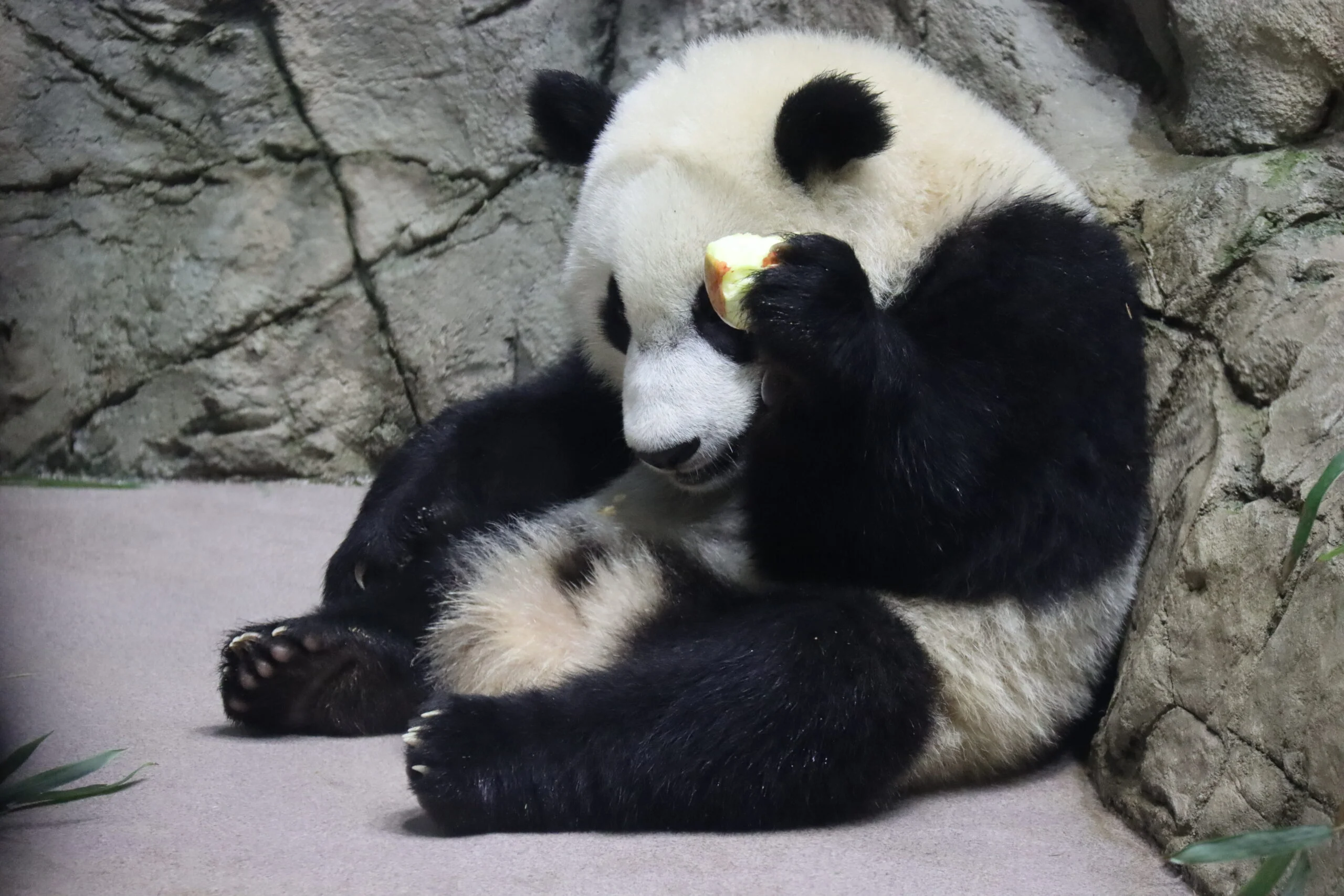 Smithsonian's National Zoo