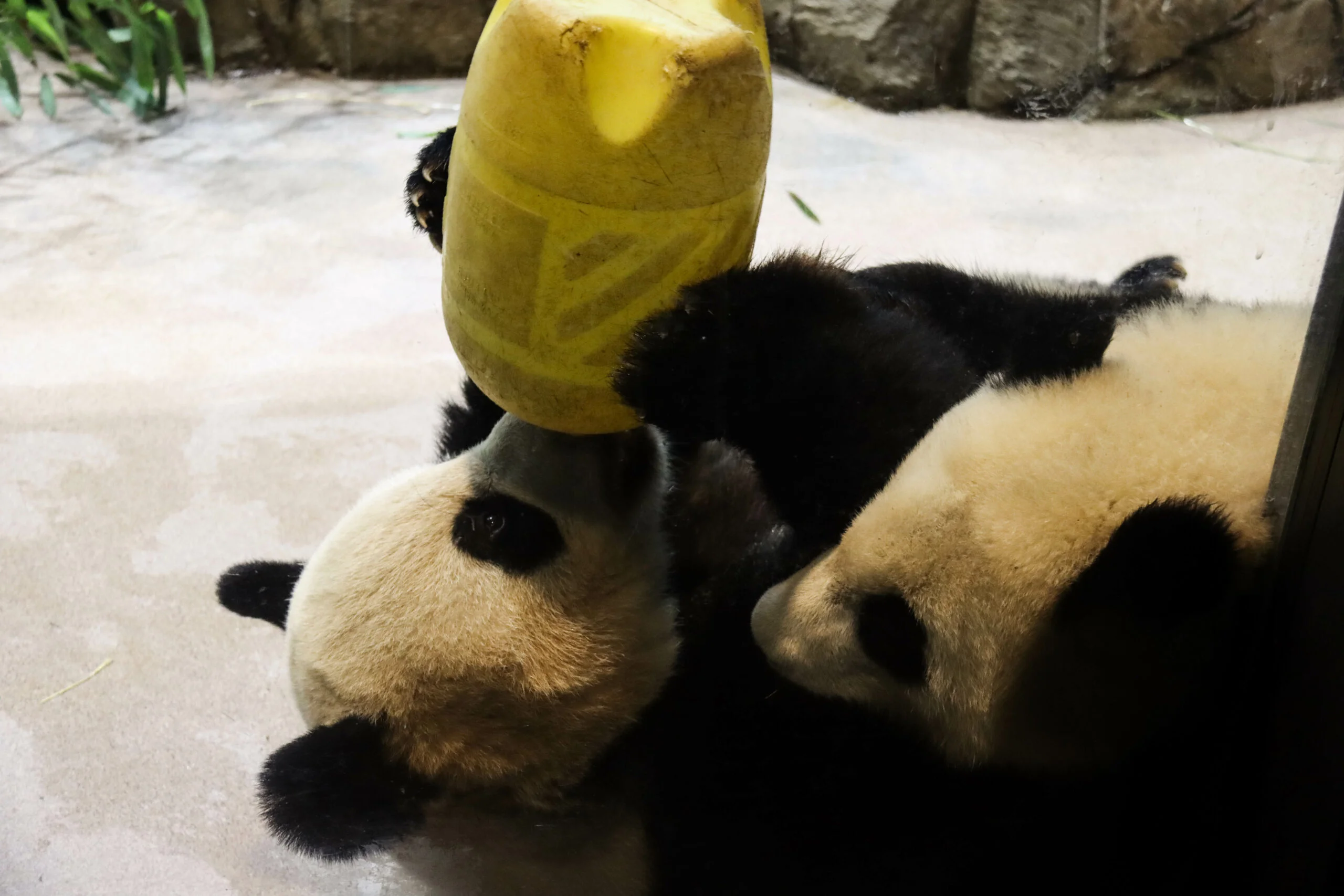 Smithsonian's National Zoo