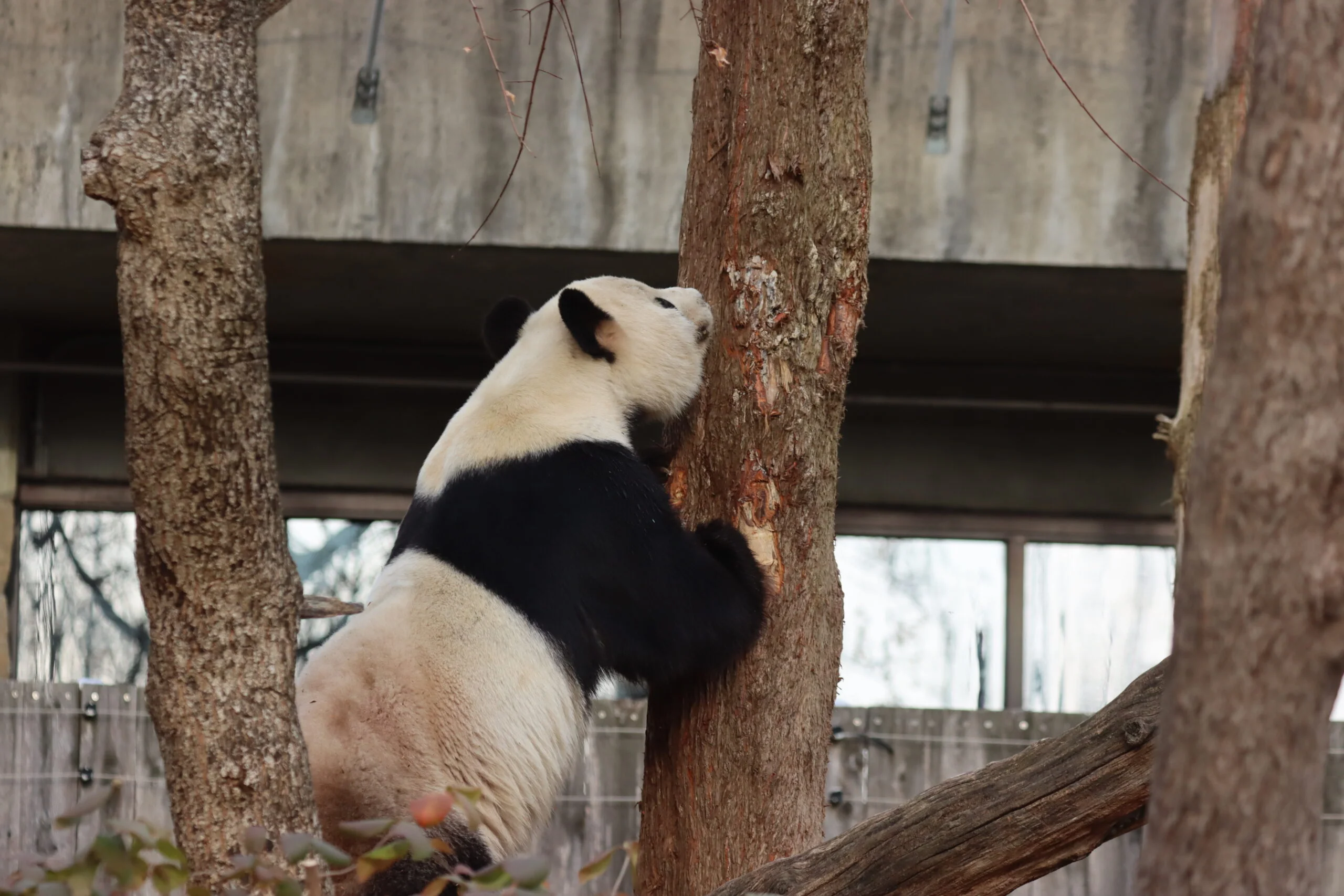 Smithsonian's National Zoo