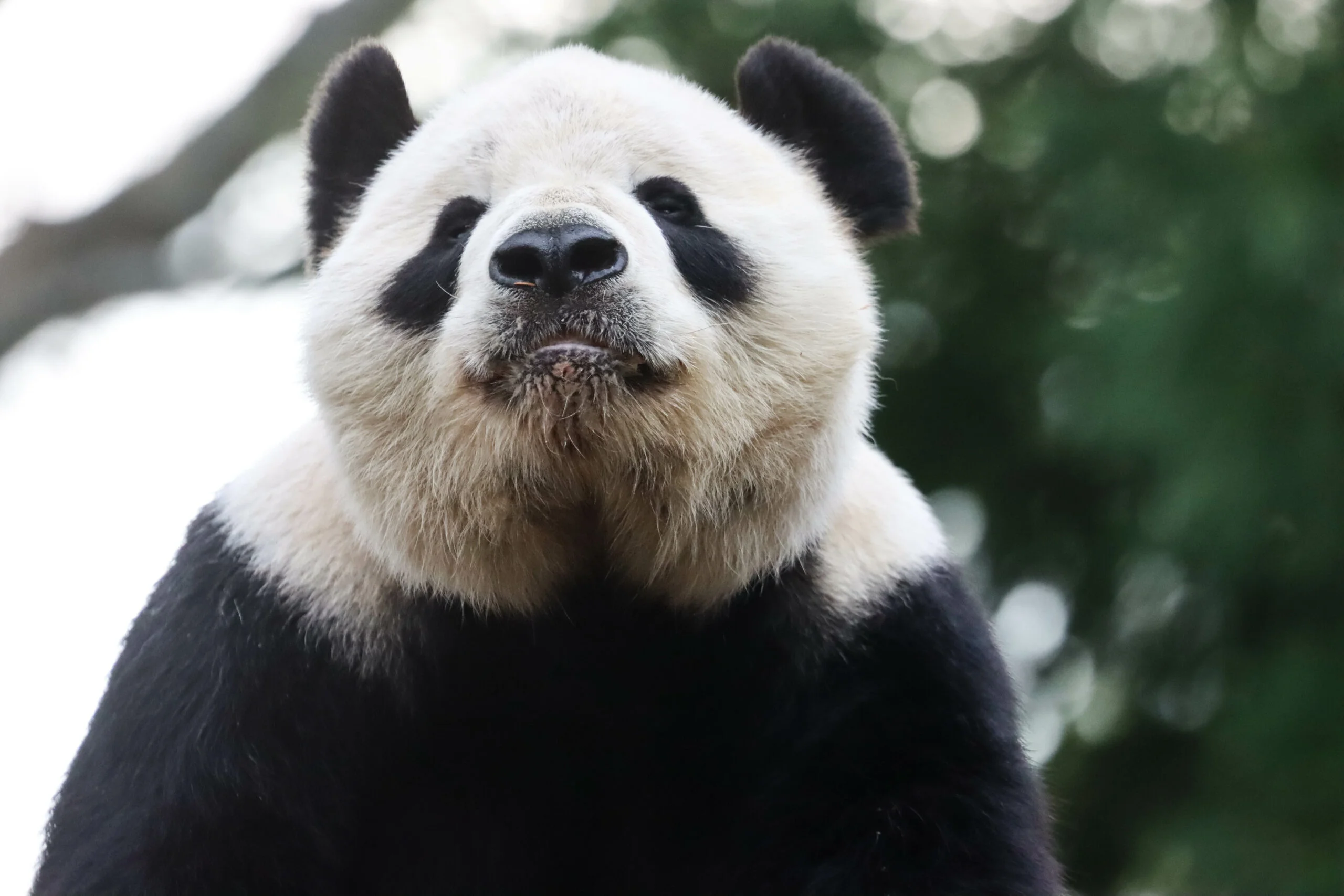 Smithsonian's National Zoo