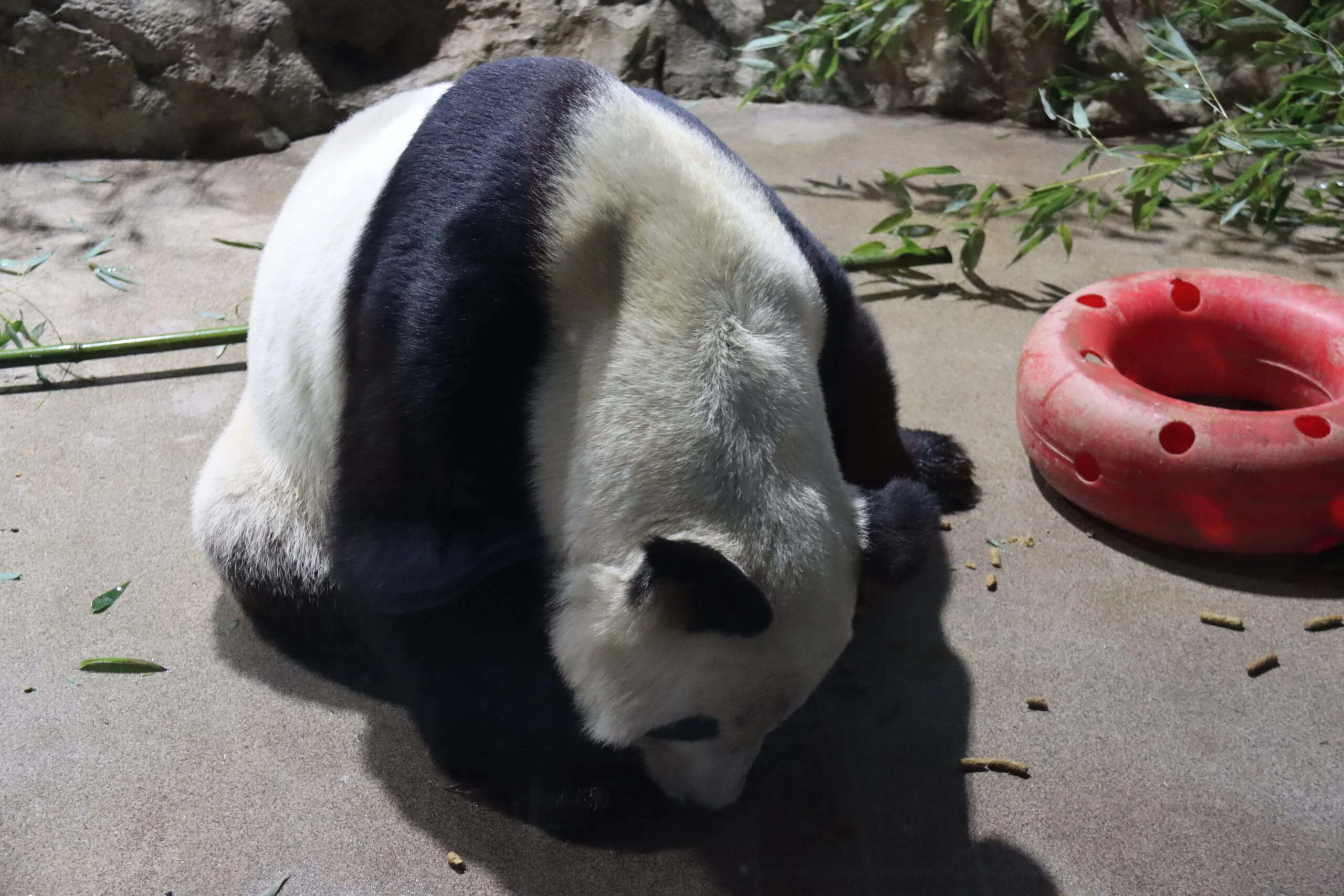 Smithsonian's National Zoo