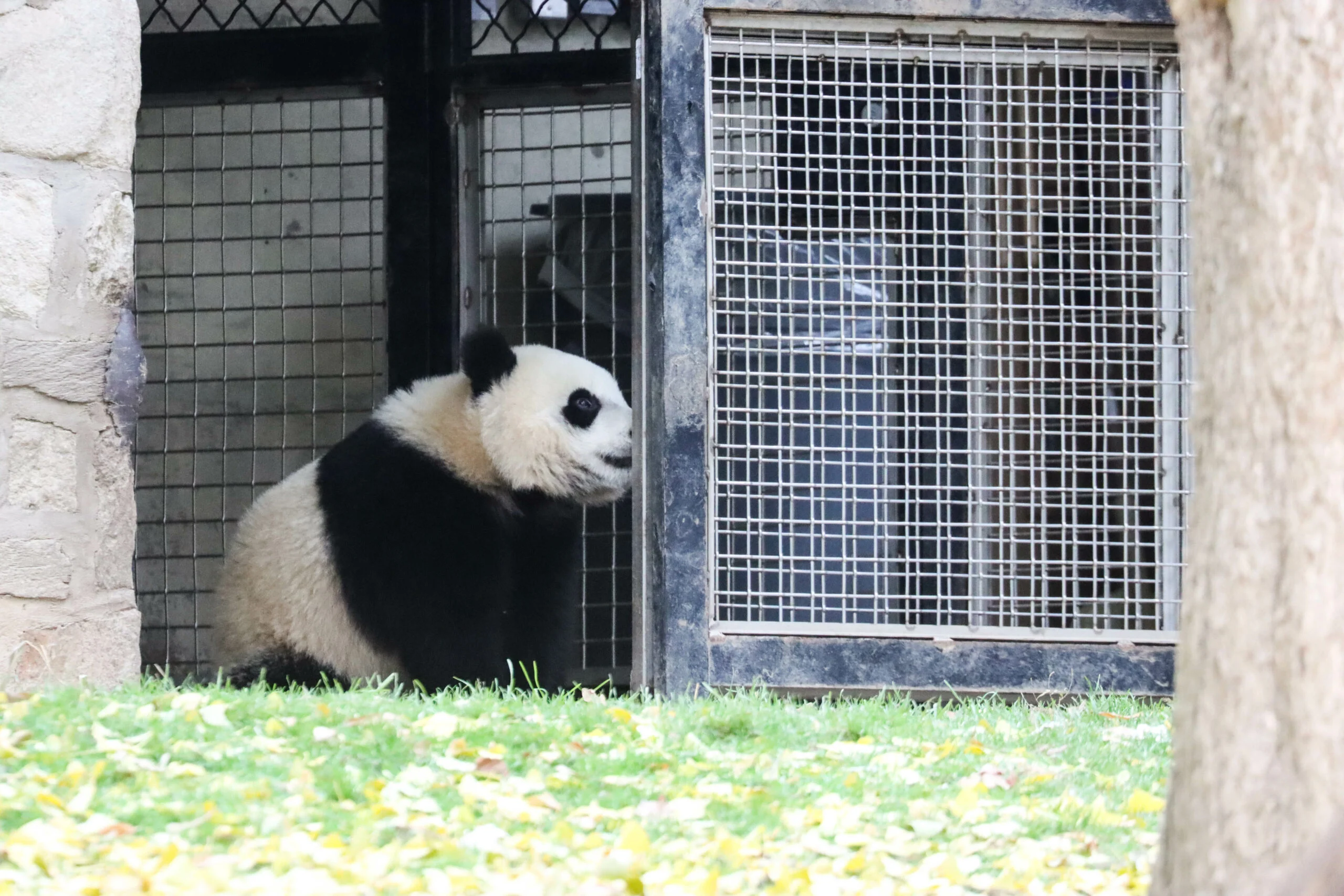 Smithsonian's National Zoo