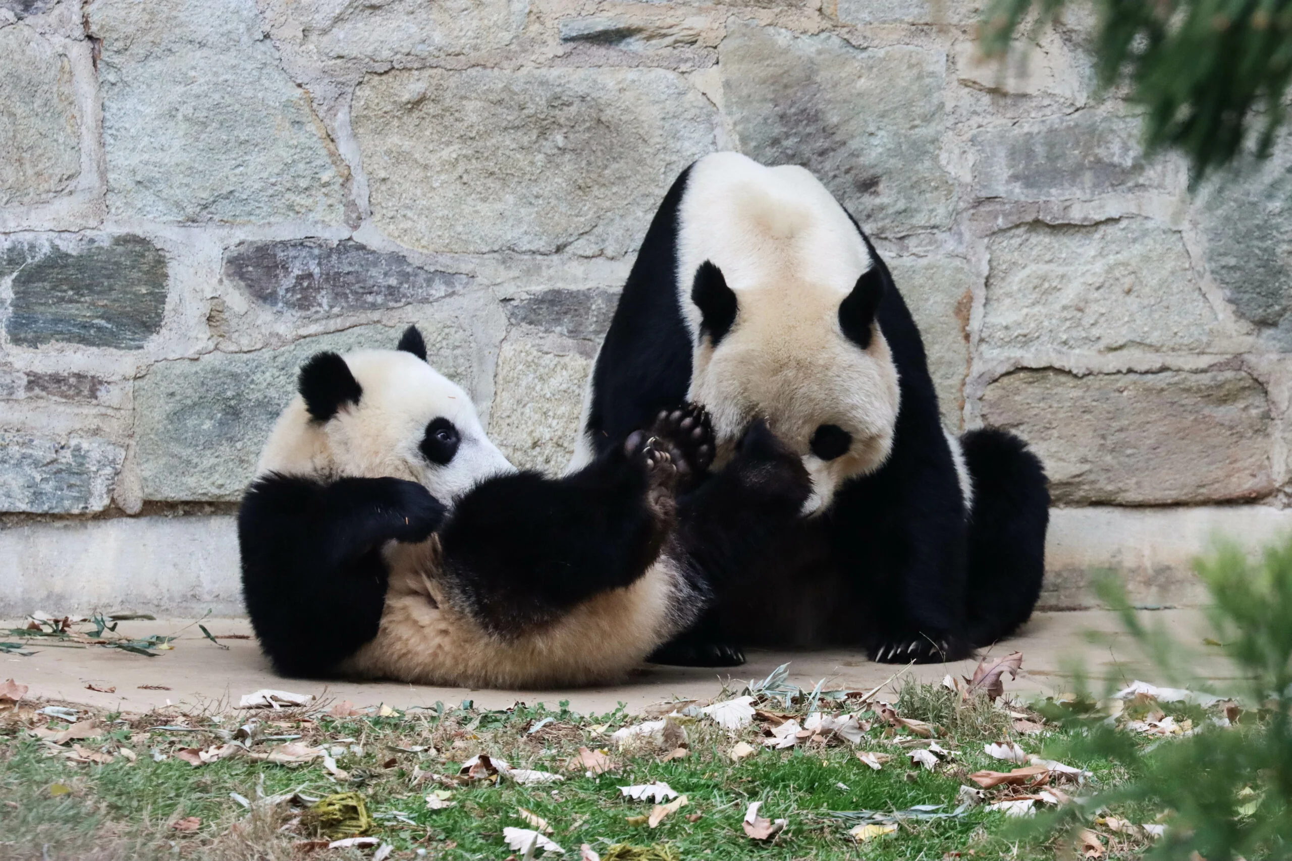 Smithsonian's National Zoo