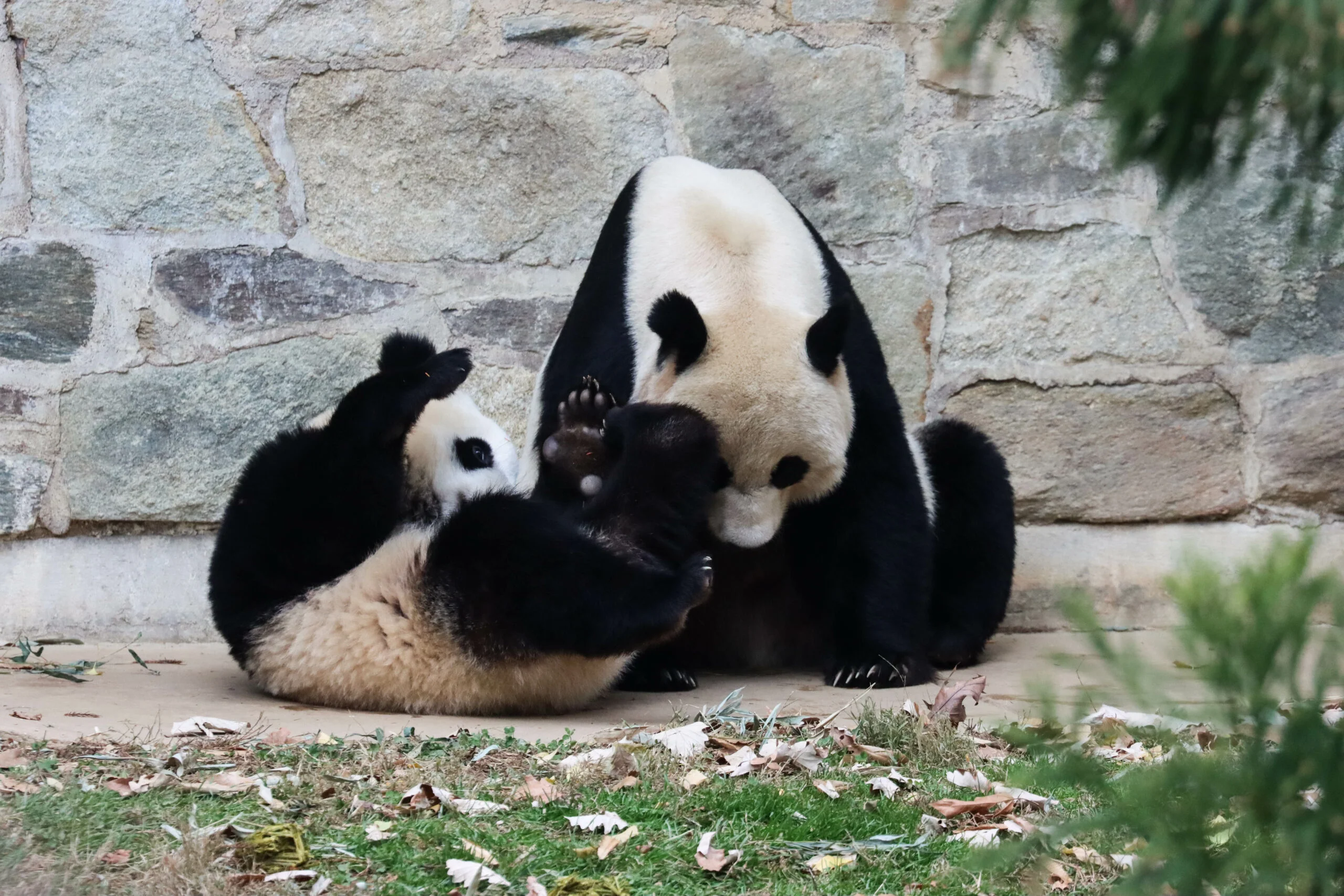 Smithsonian's National Zoo