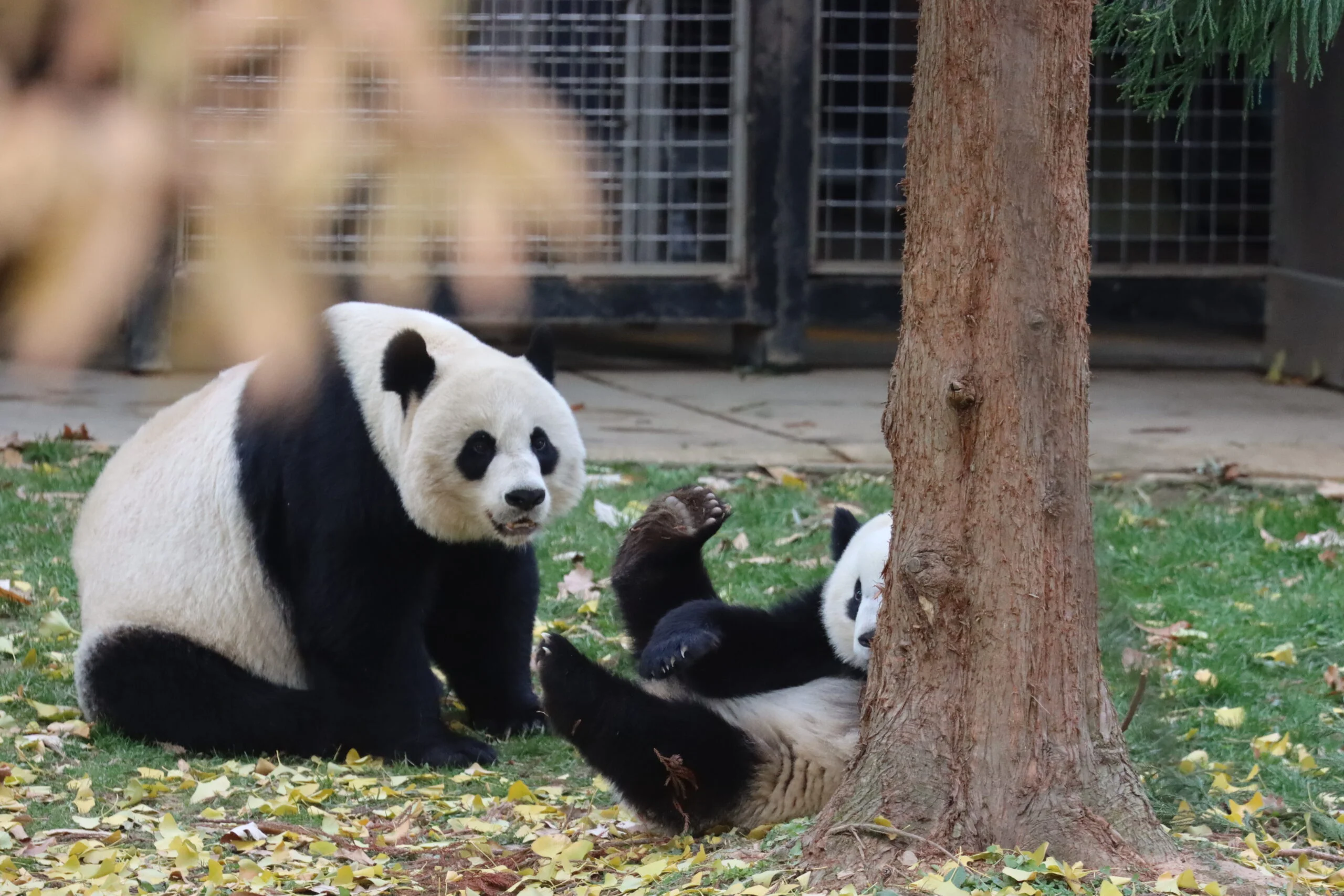 Smithsonian's National Zoo