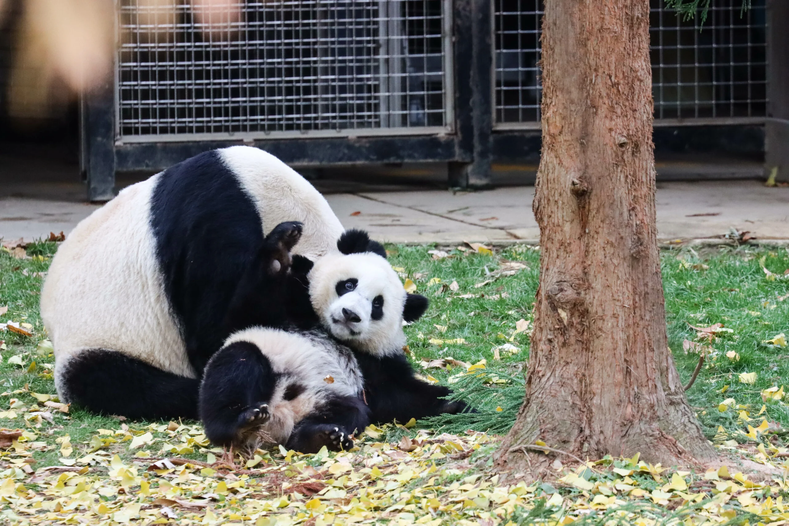 Smithsonian's National Zoo