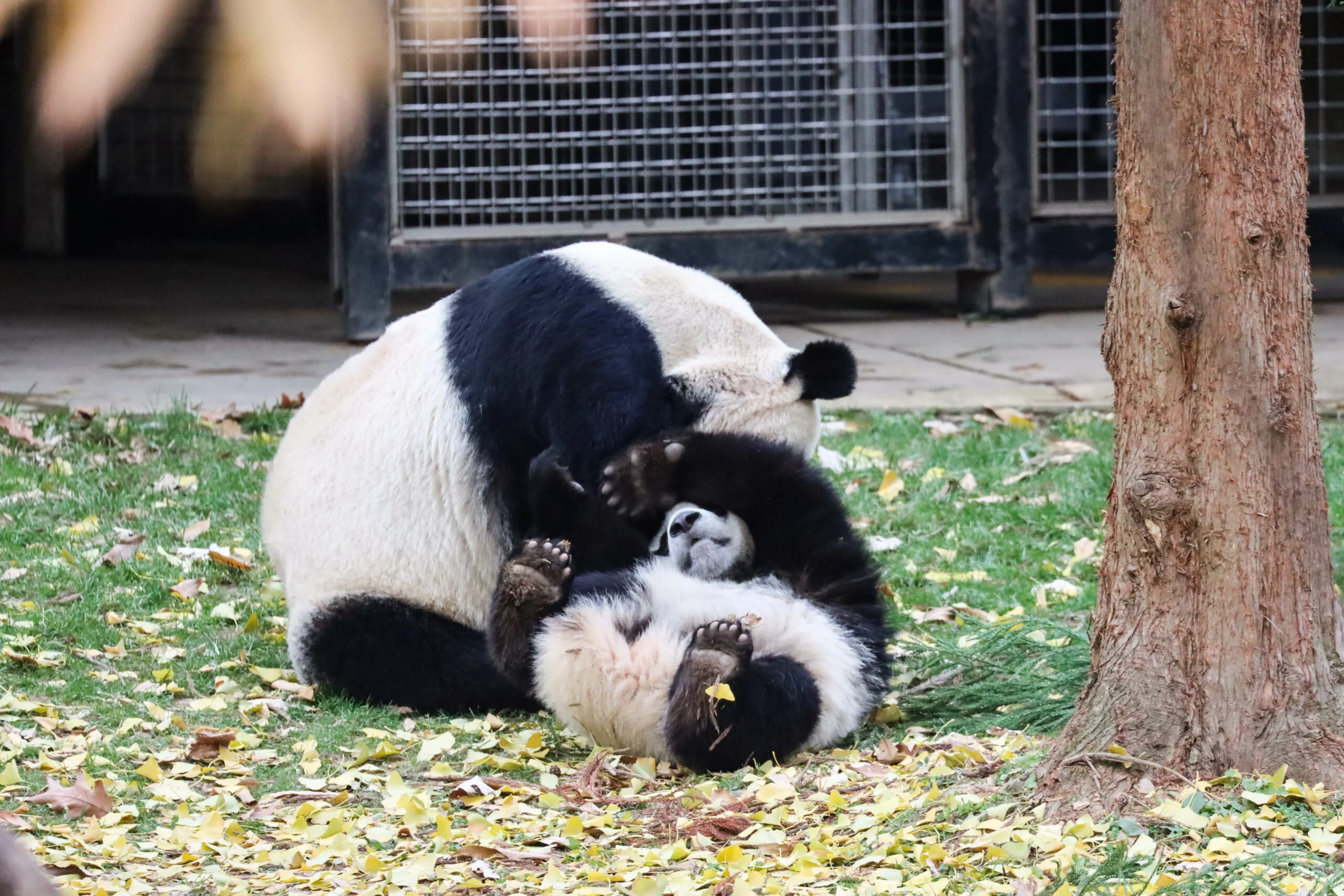 Smithsonian's National Zoo