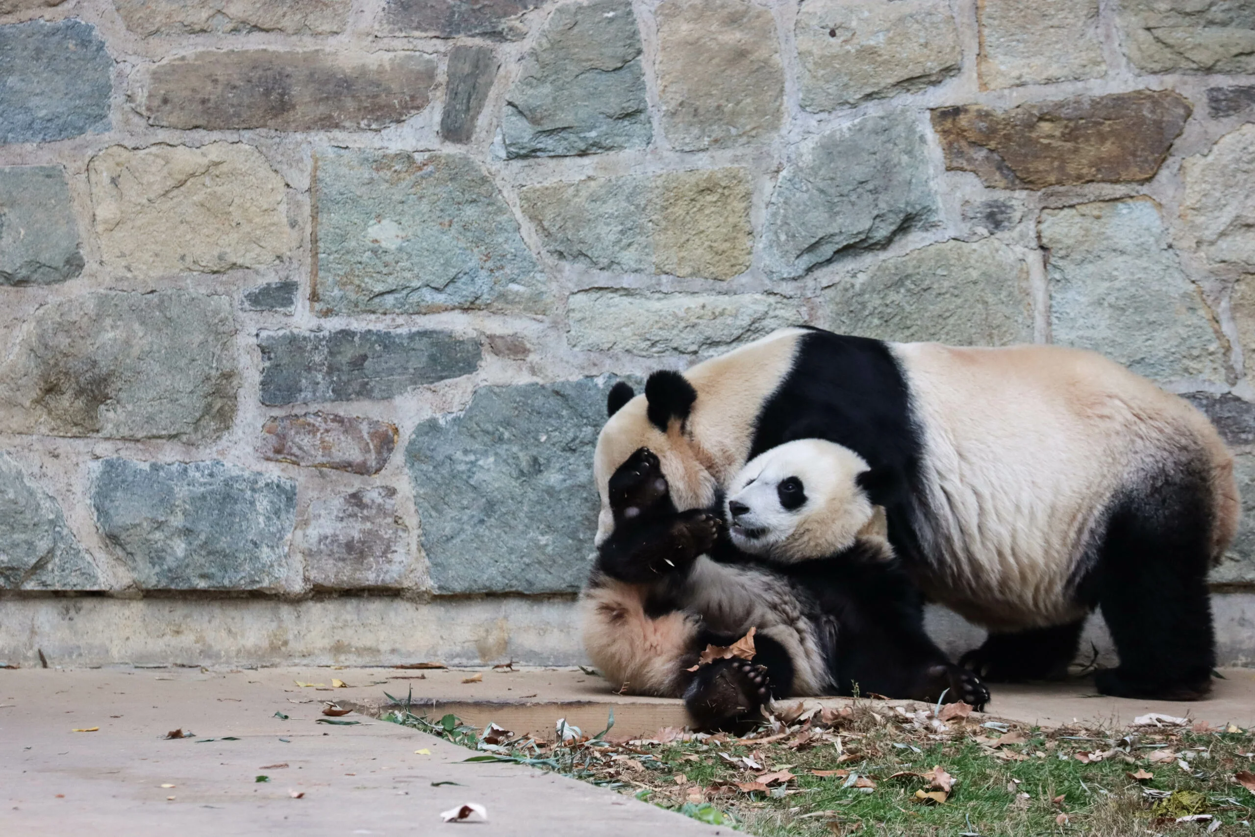Smithsonian's National Zoo