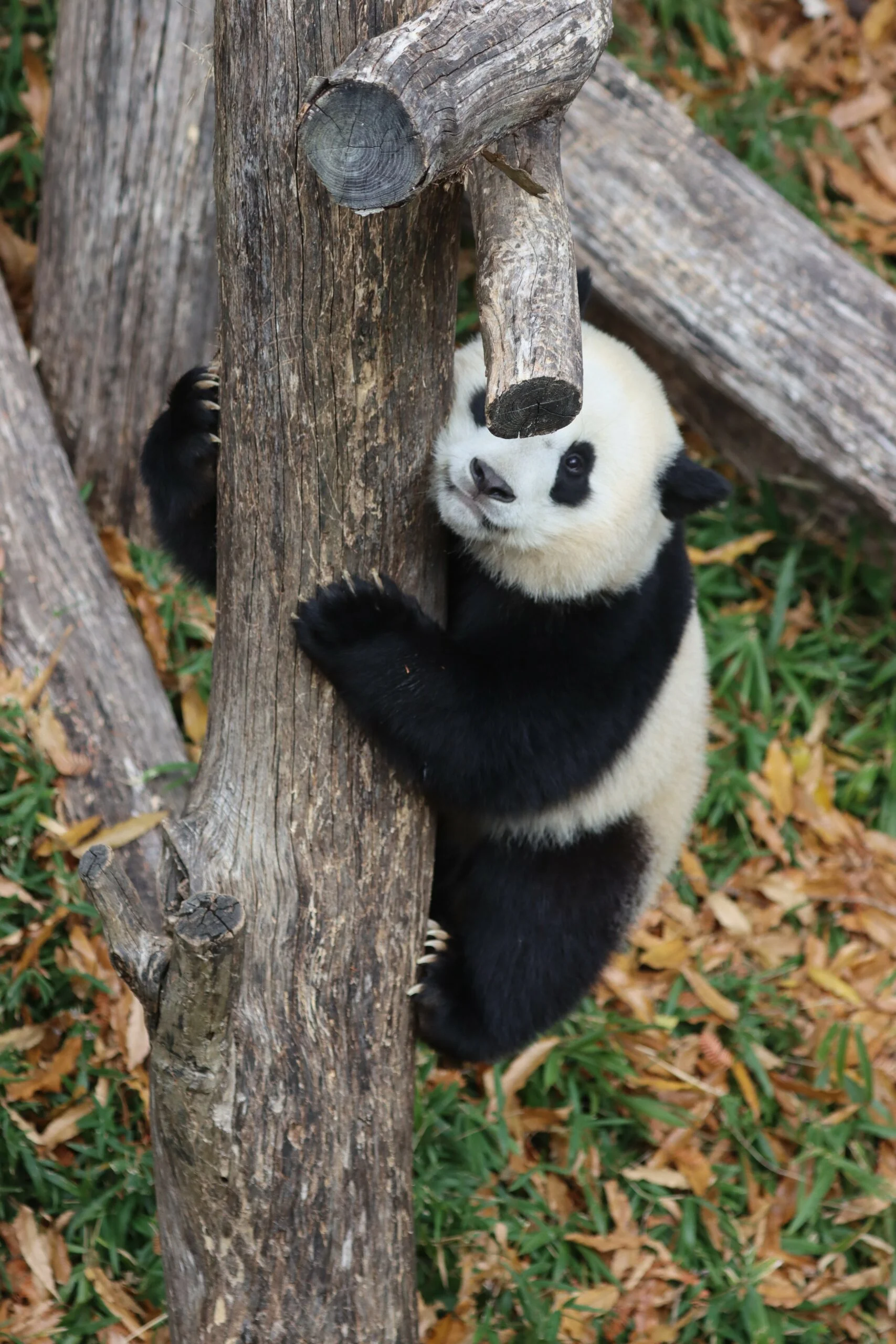 Smithsonian's National Zoo
