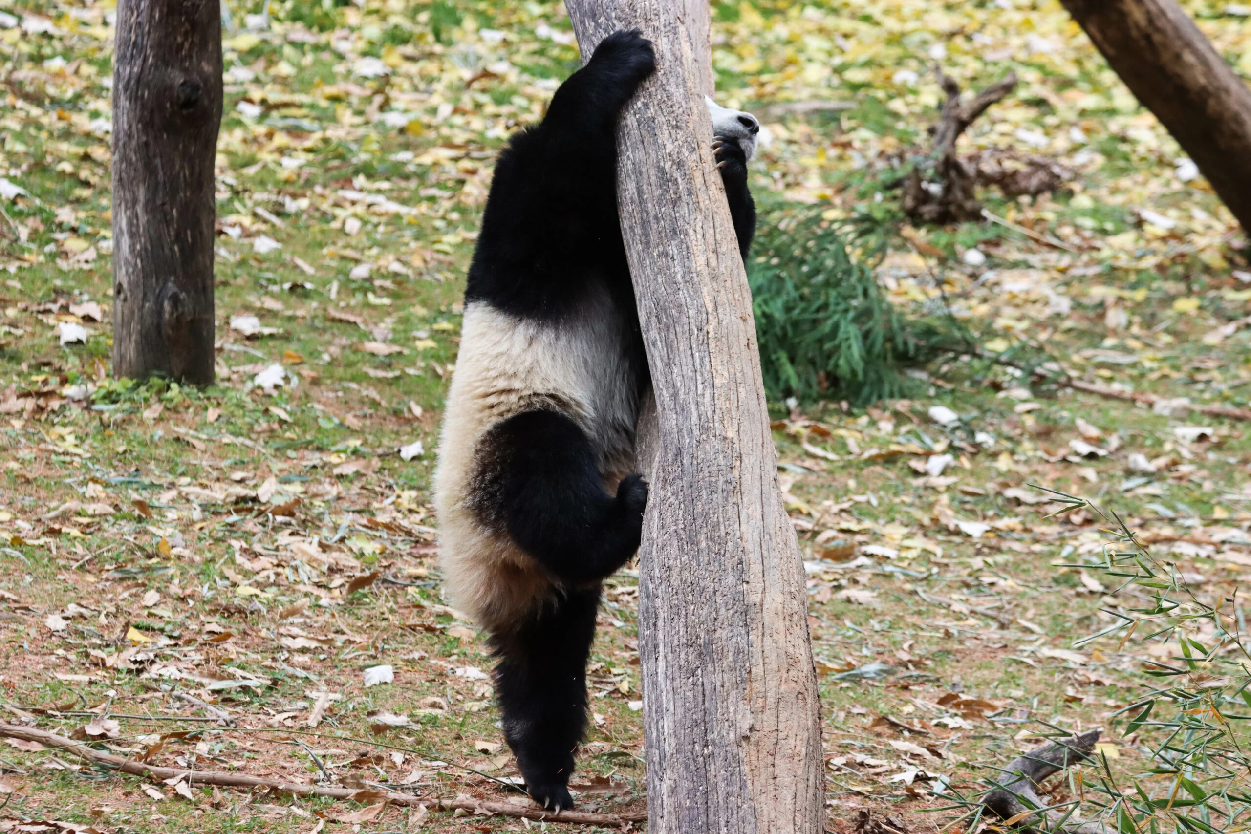 Smithsonian's National Zoo
