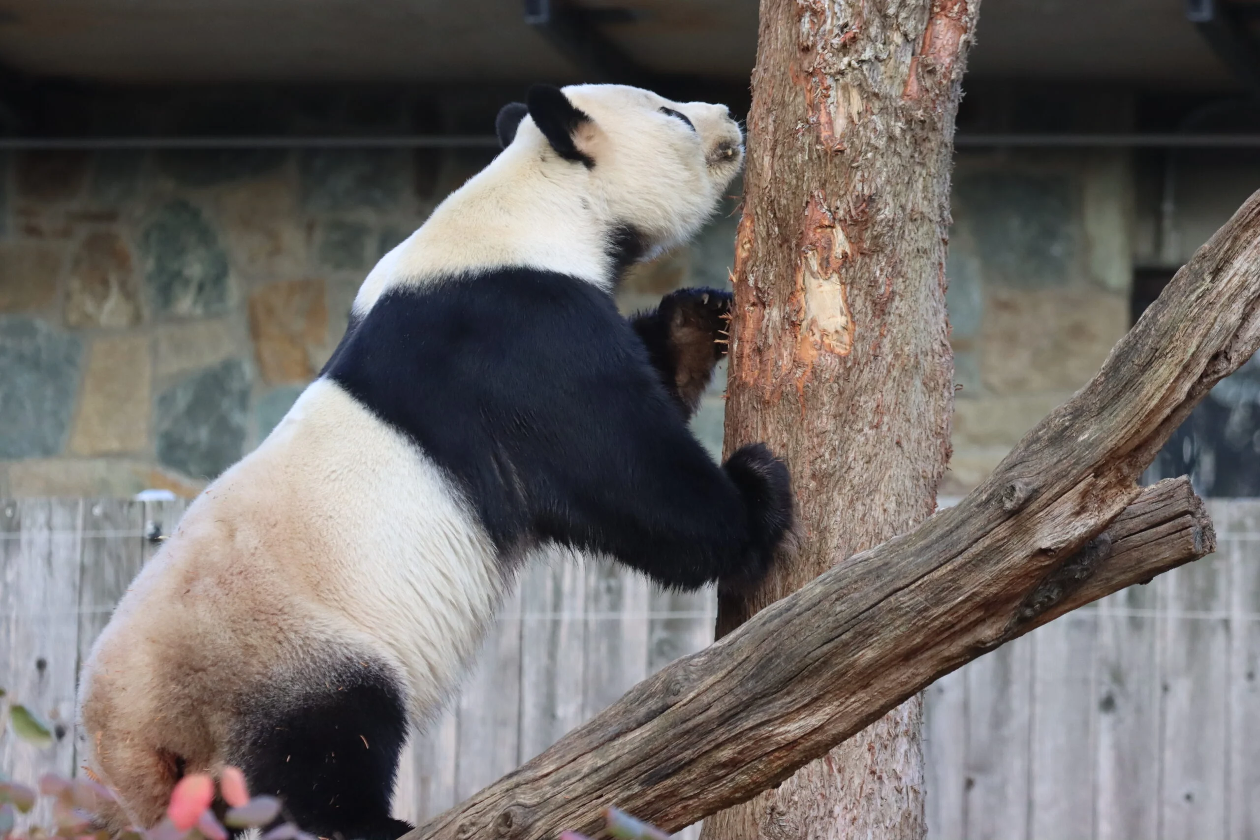 Smithsonian's National Zoo