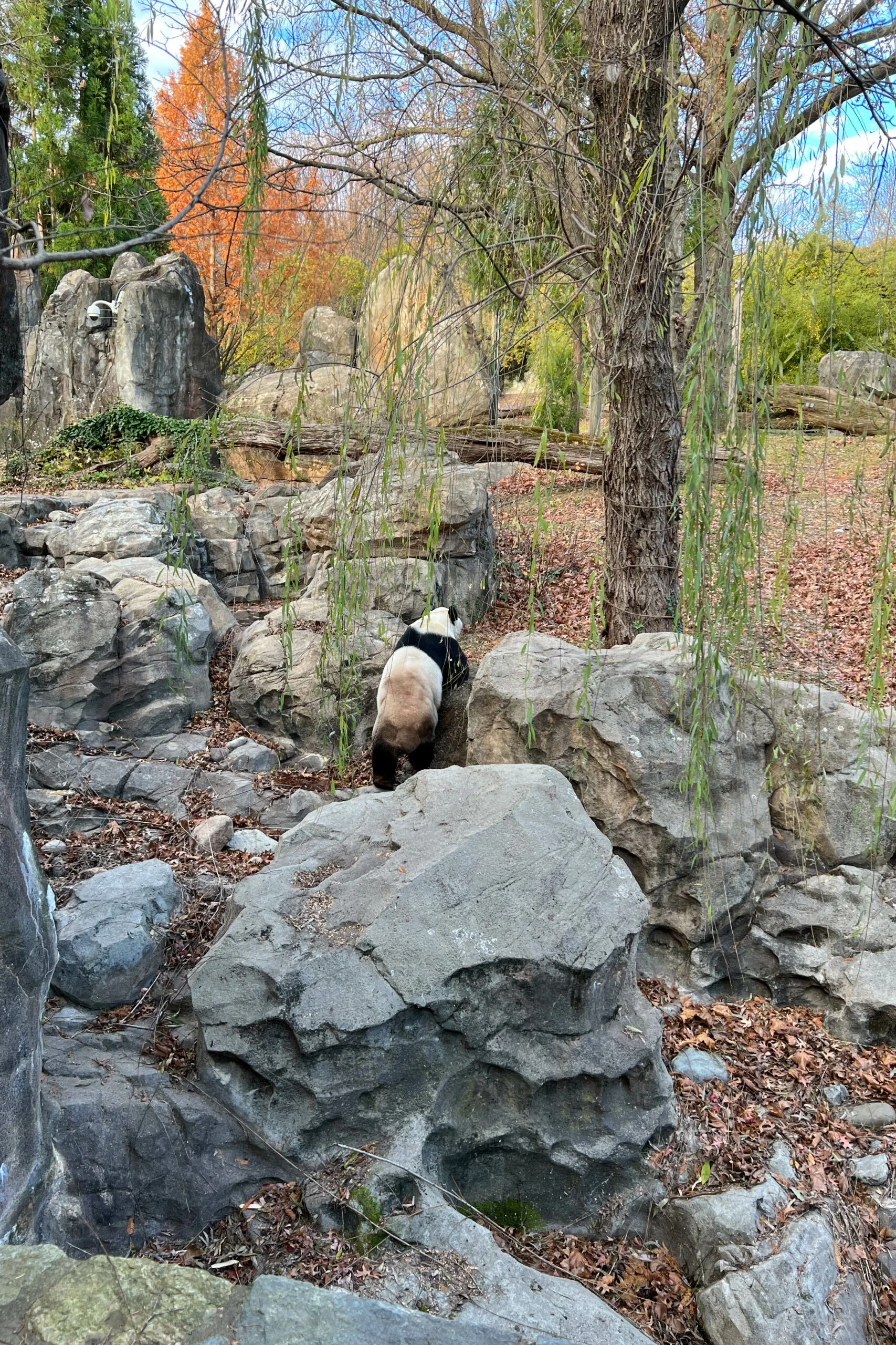 Smithsonian's National Zoo