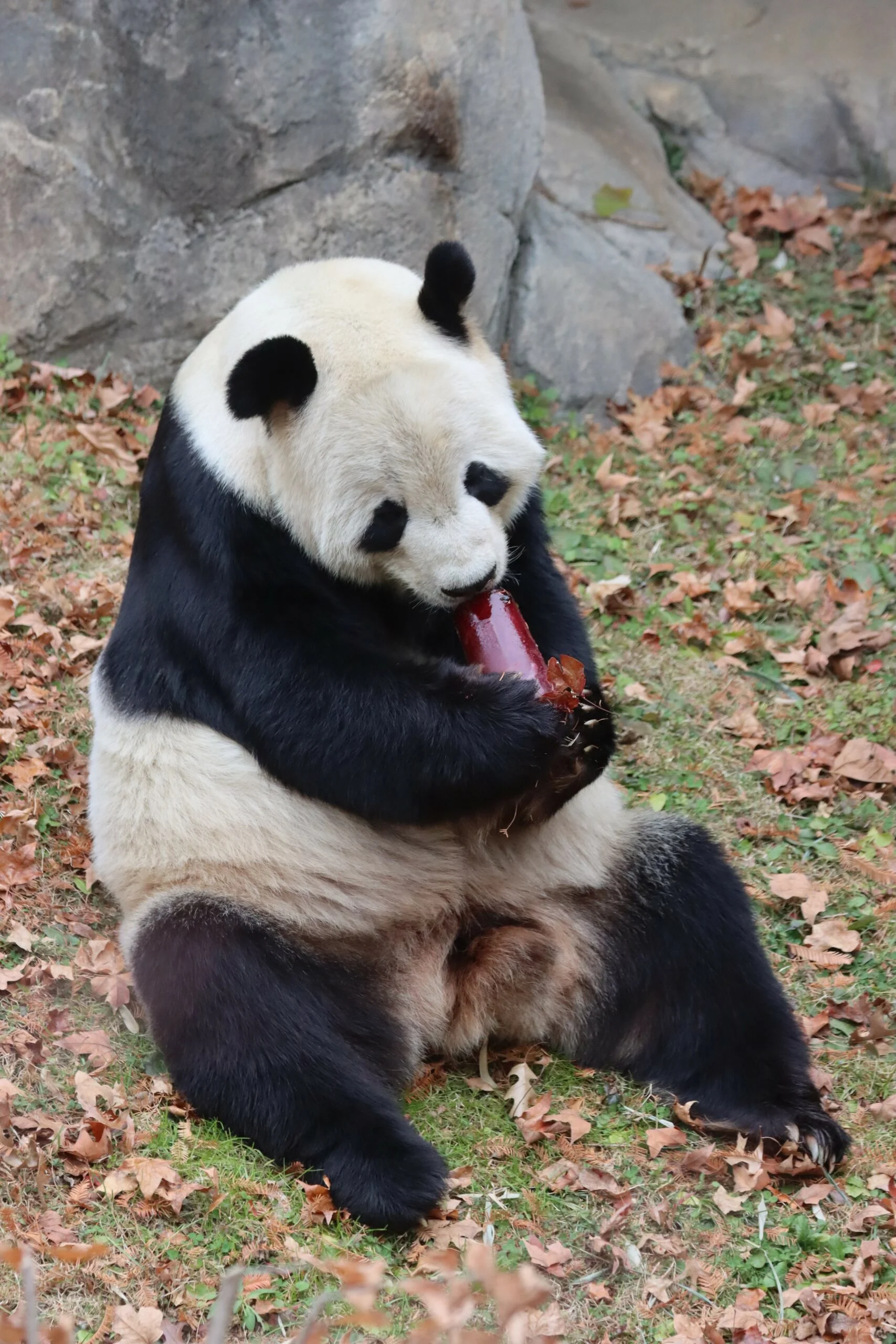 Smithsonian's National Zoo