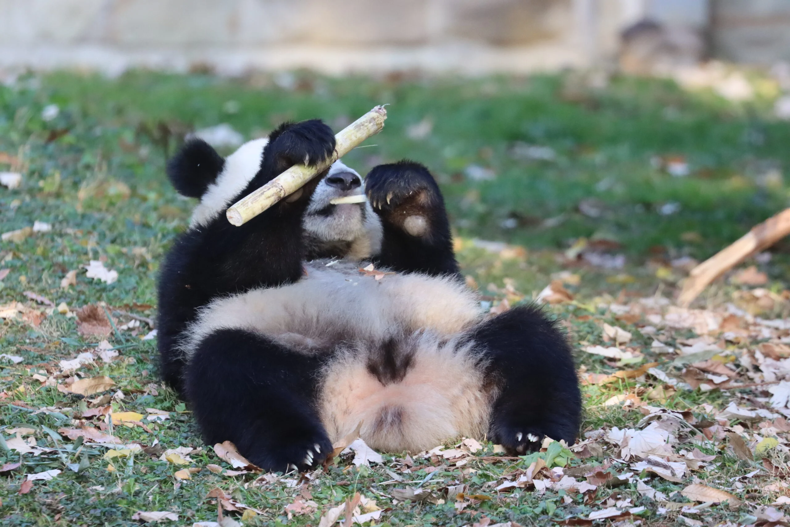 Smithsonian's National Zoo