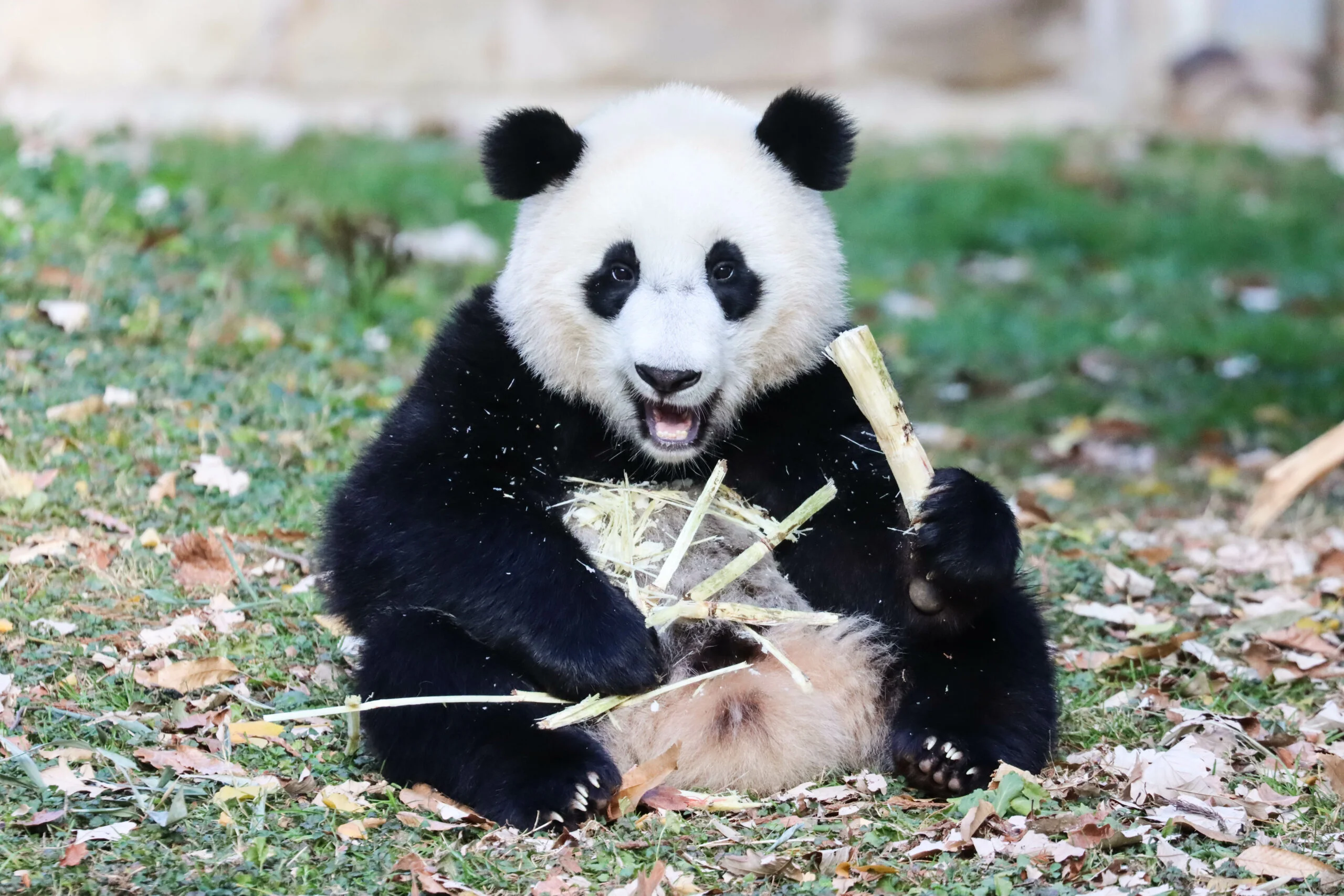 Smithsonian's National Zoo