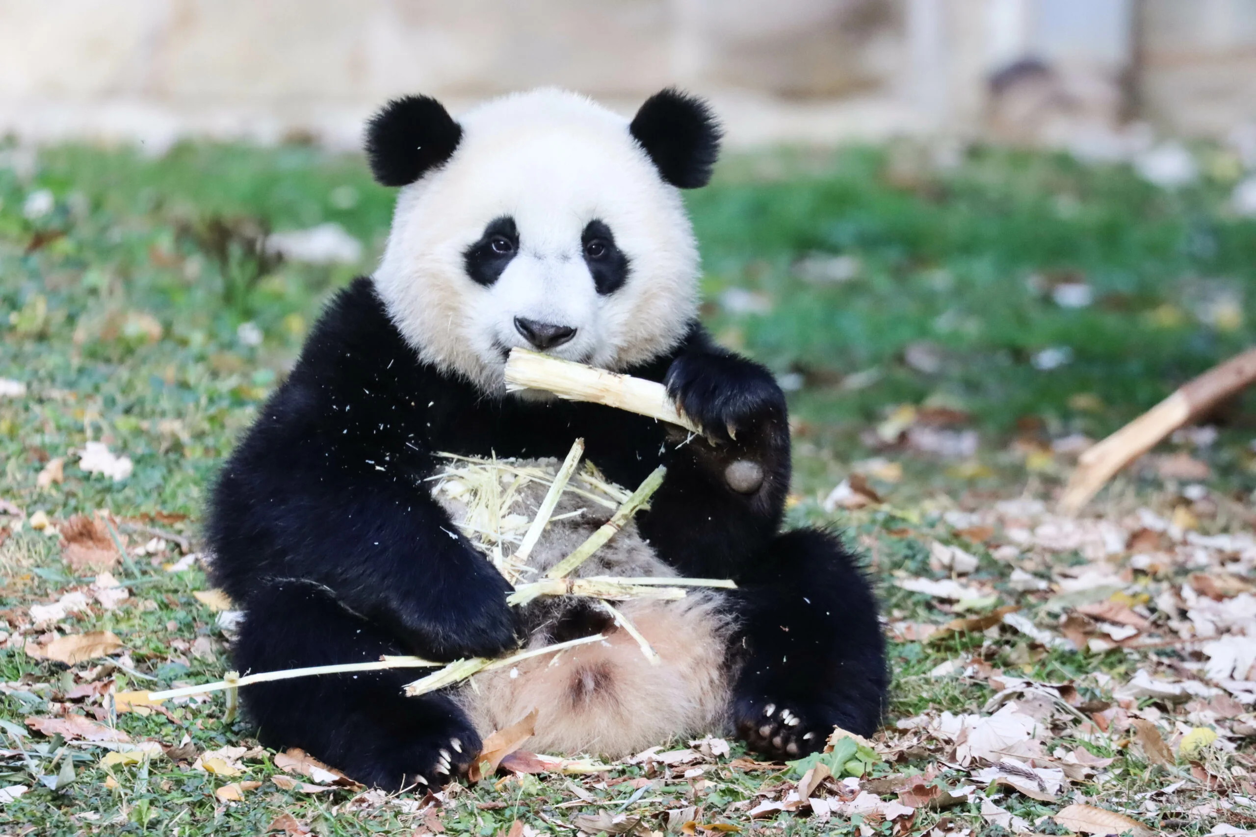 Smithsonian's National Zoo