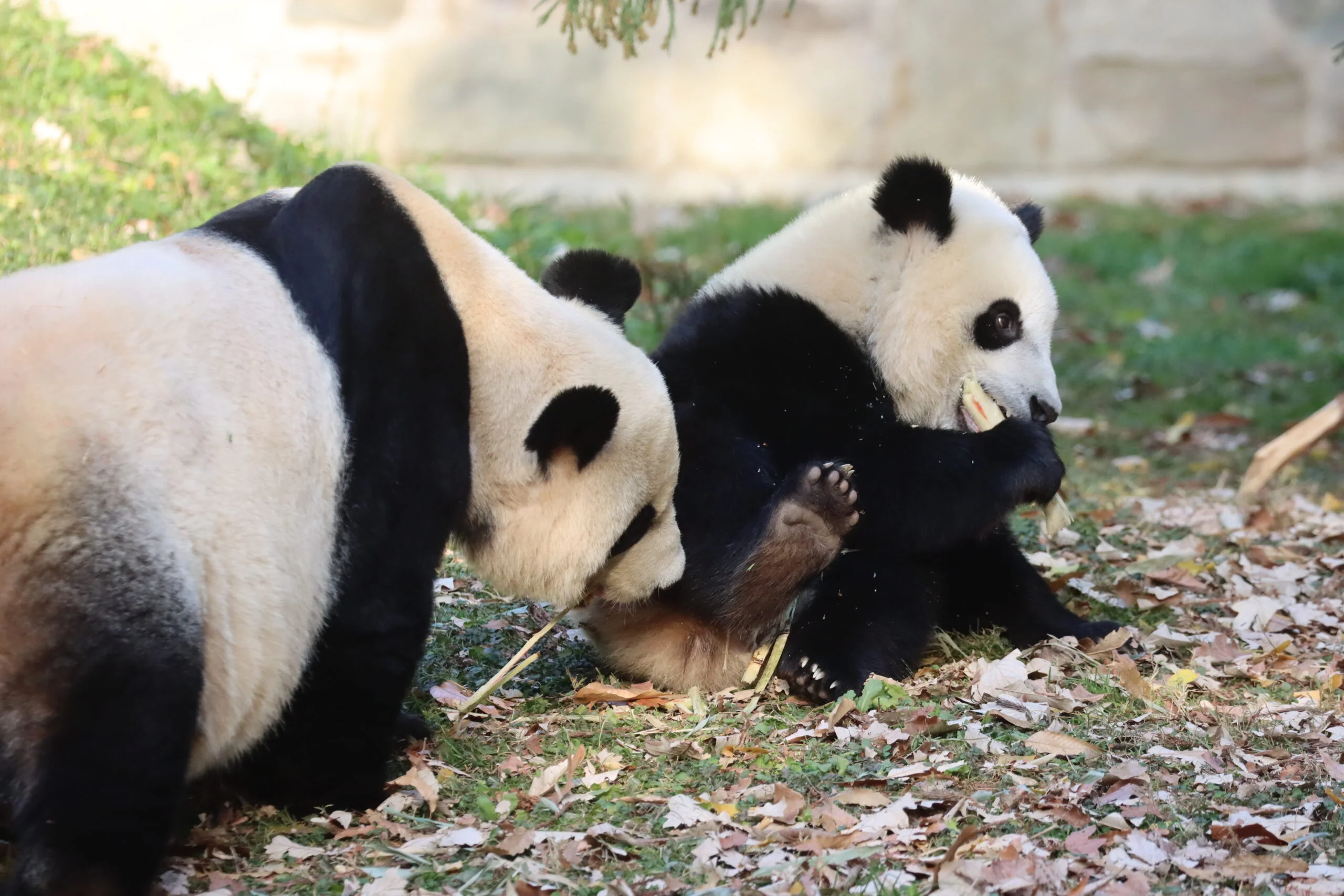 Smithsonian's National Zoo