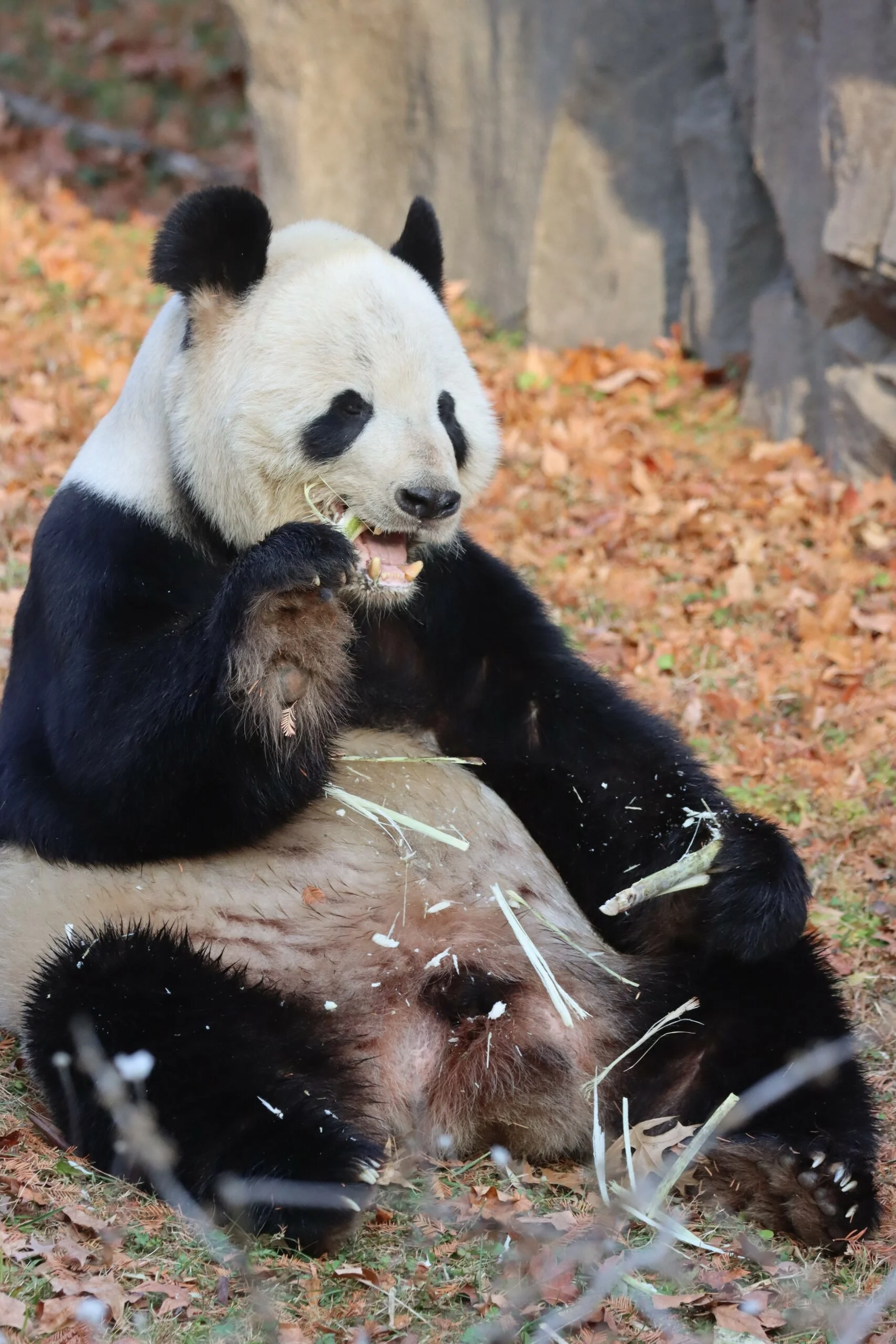 Smithsonian's National Zoo