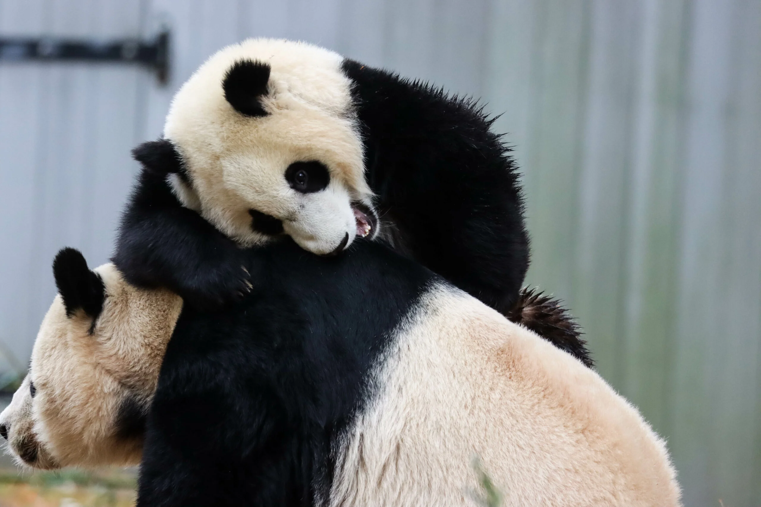 Smithsonian's National Zoo