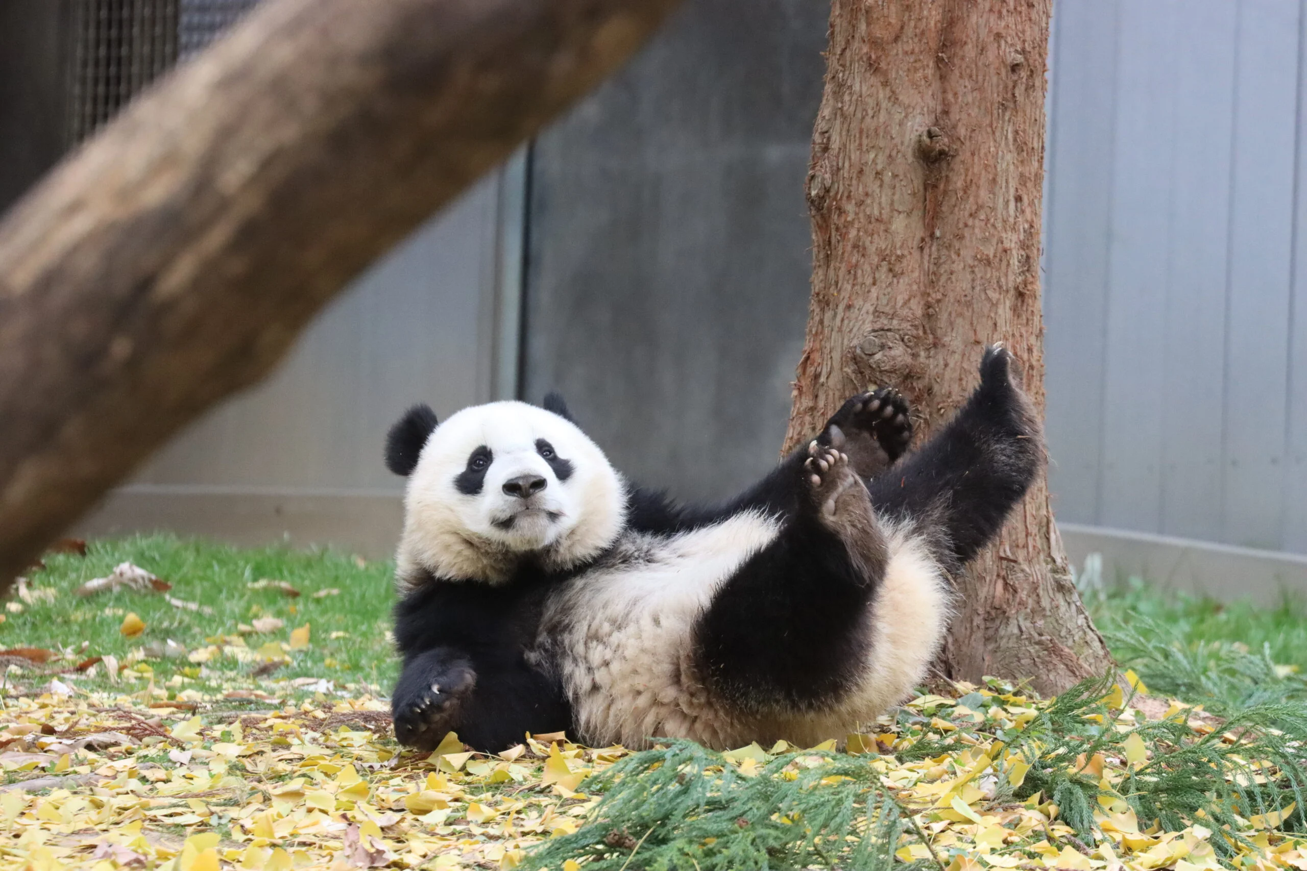 Smithsonian's National Zoo
