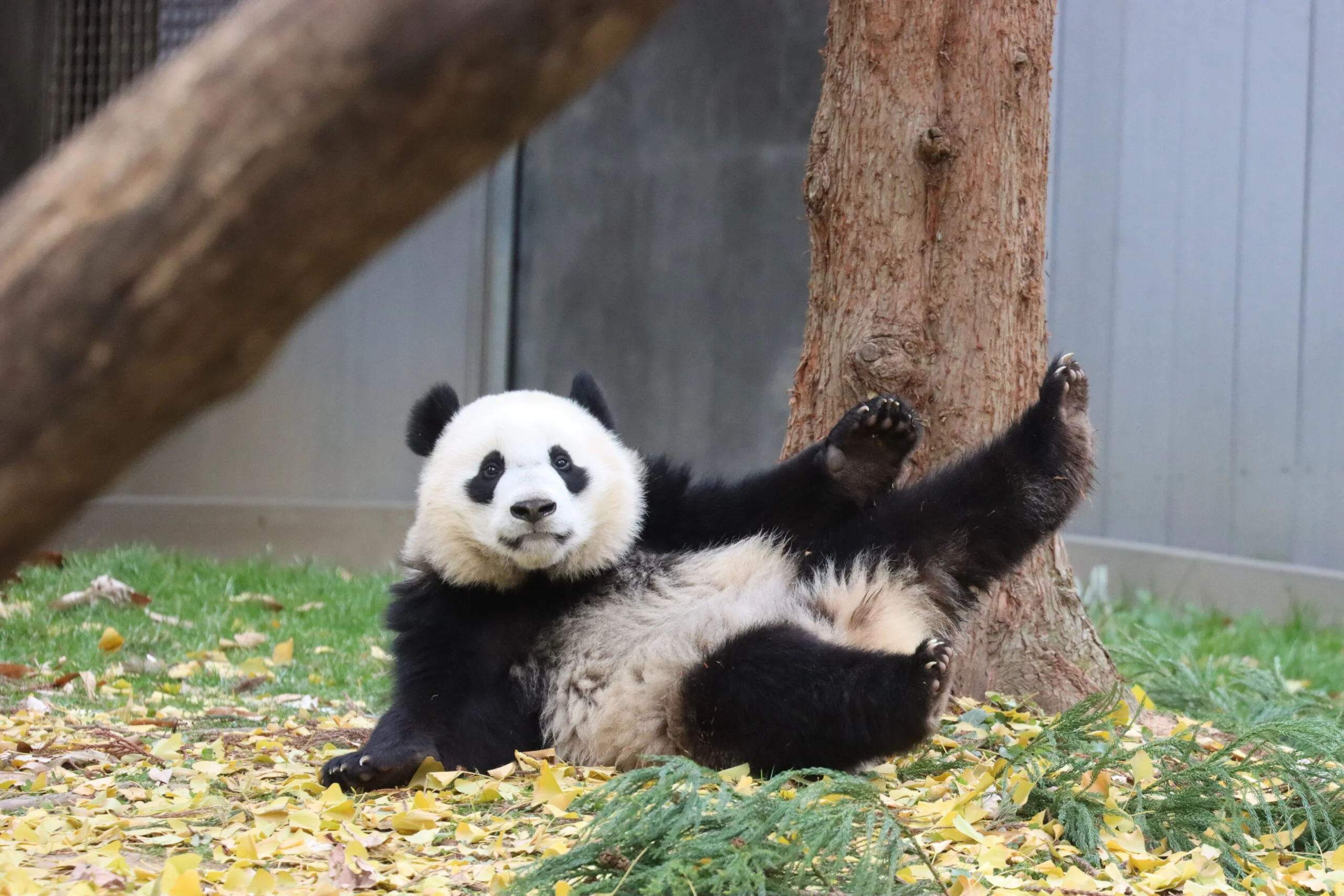 Smithsonian's National Zoo