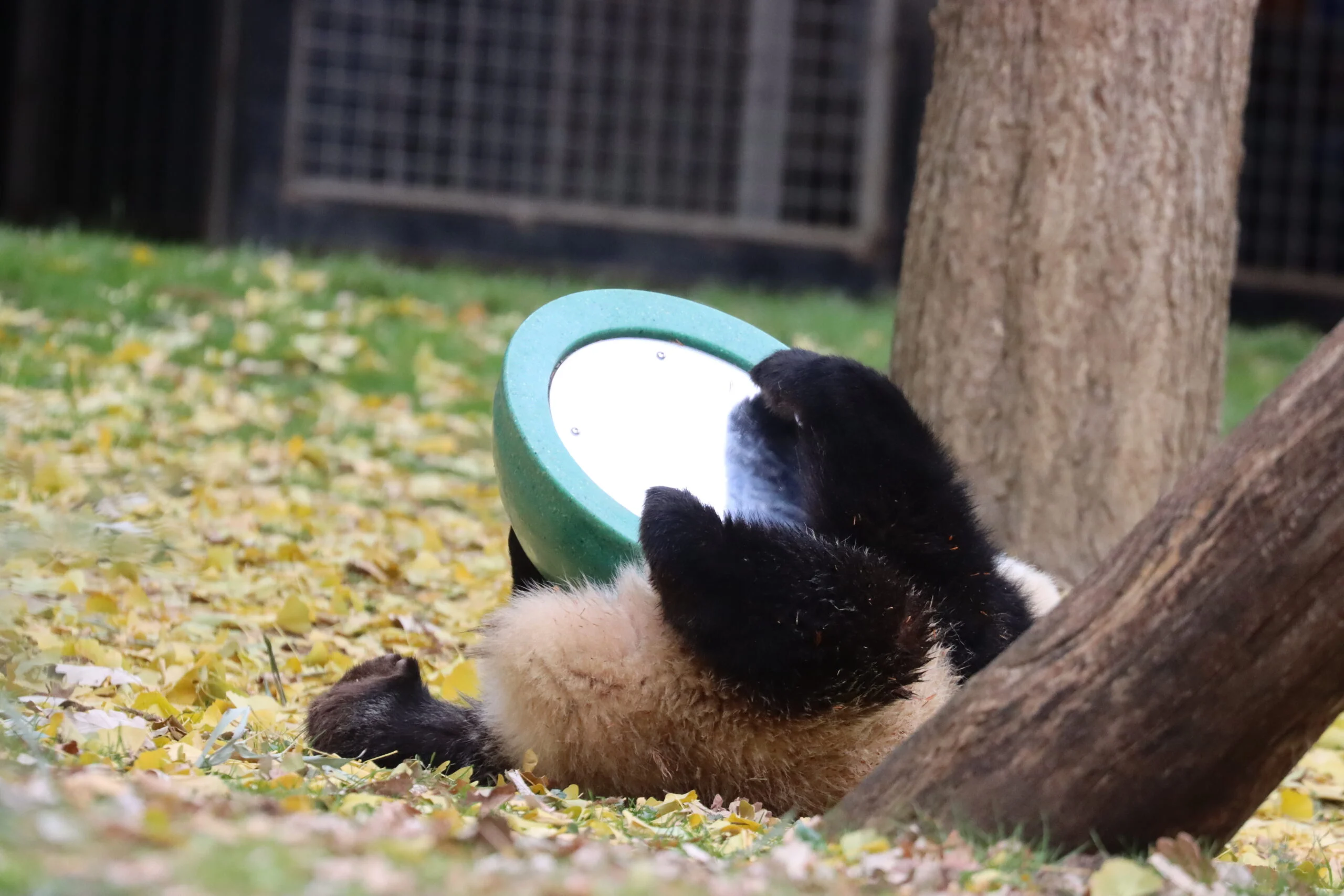 Smithsonian's National Zoo