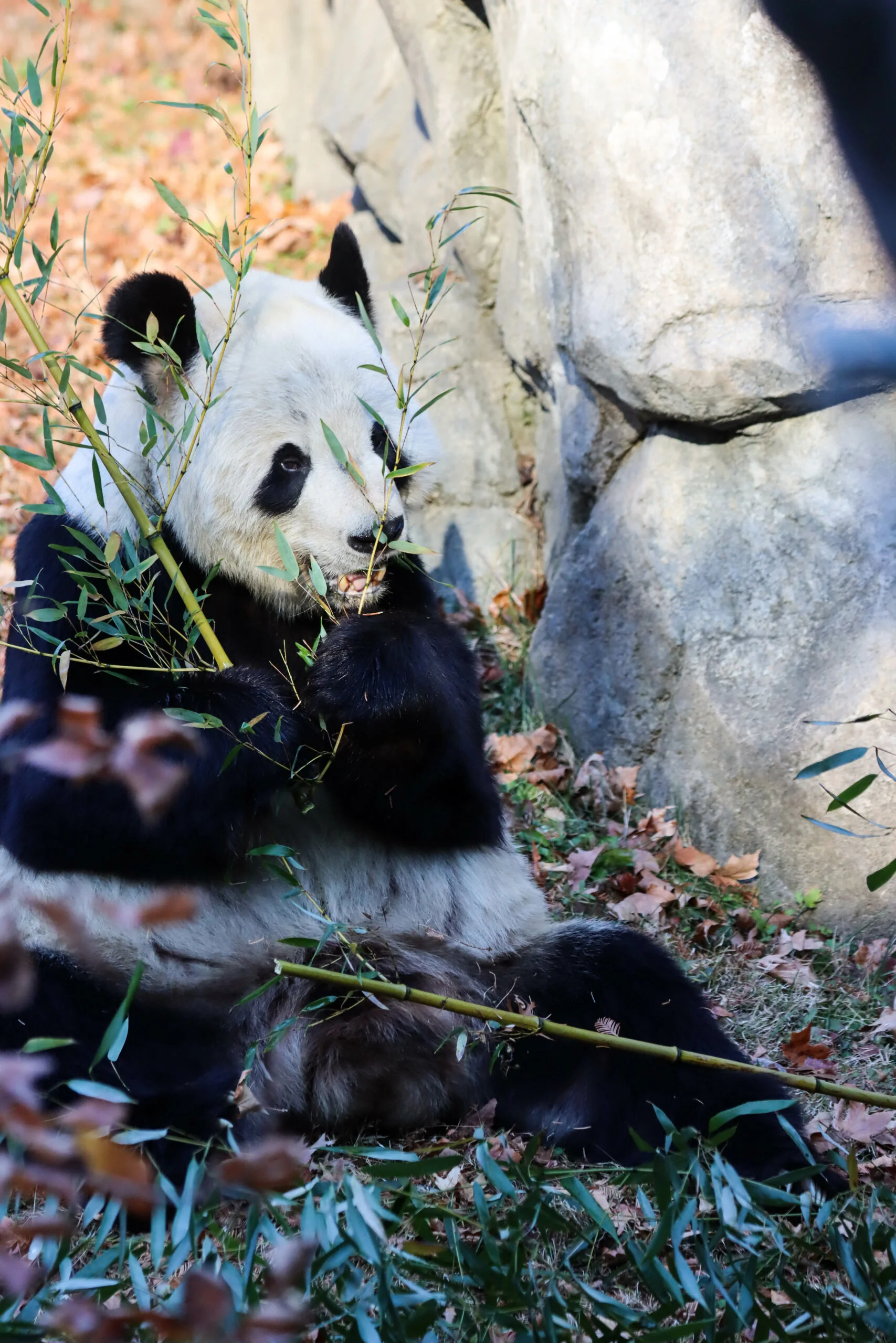 Smithsonian's National Zoo