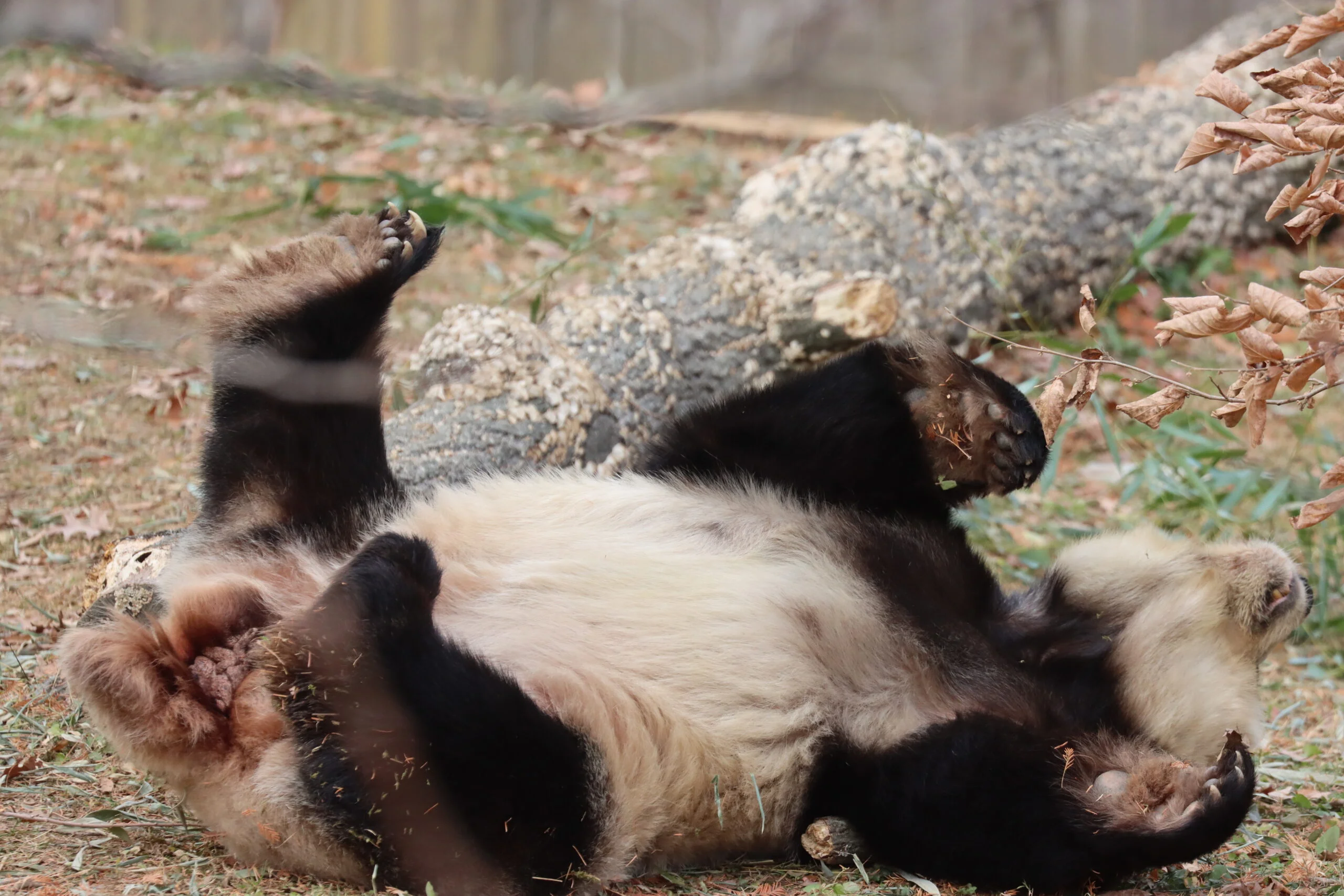 Smithsonian's National Zoo