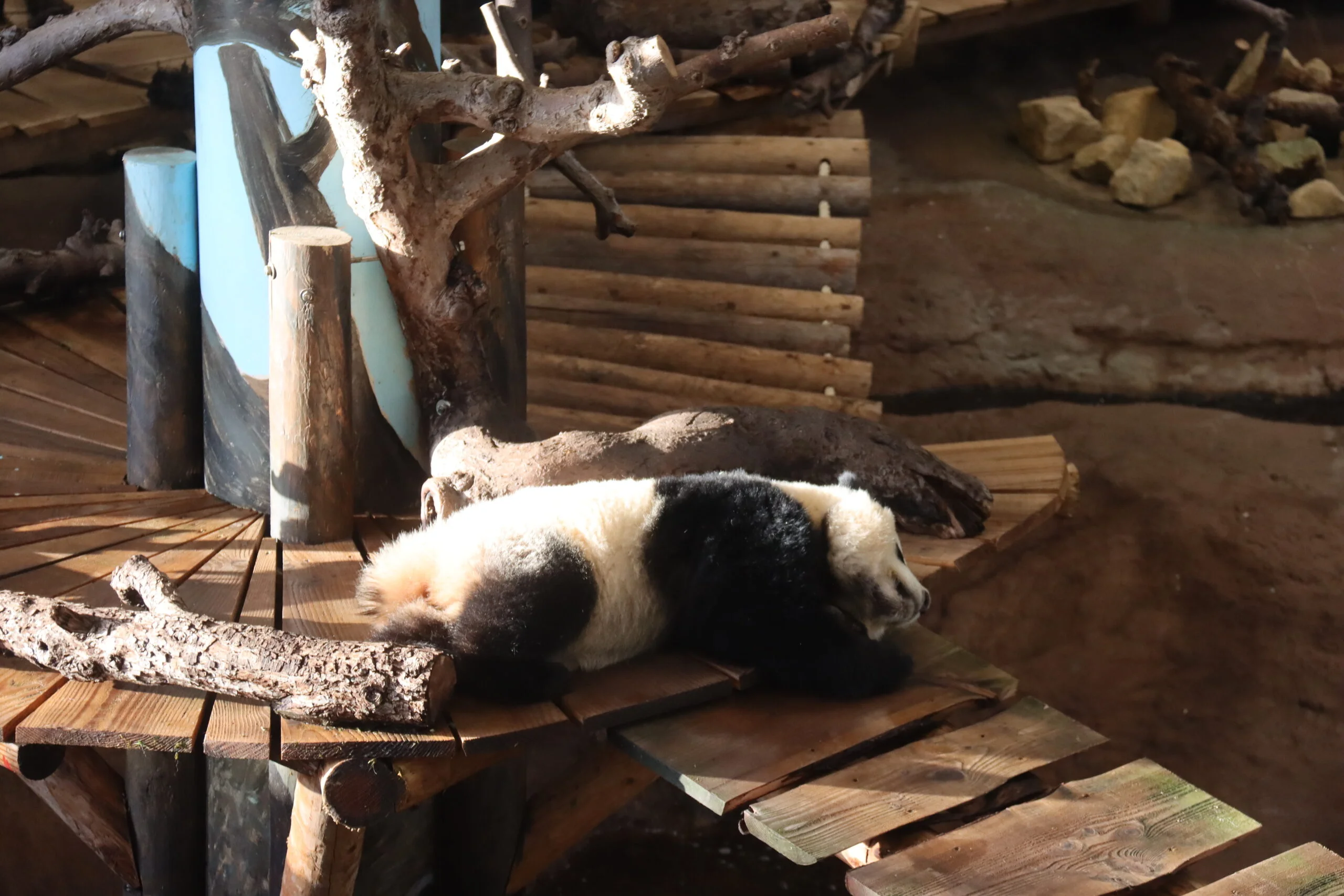 Ouwehands Dierenpark Rhenen