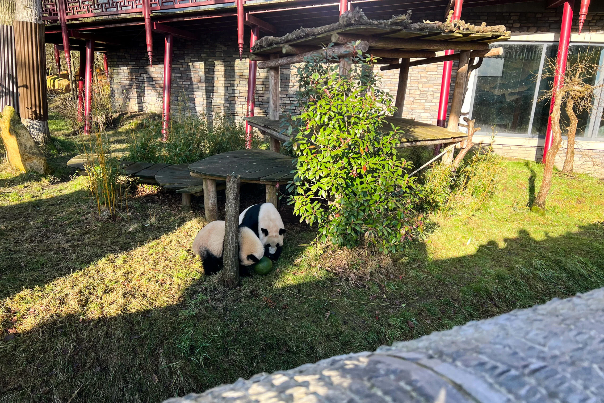 Ouwehands Dierenpark Rhenen