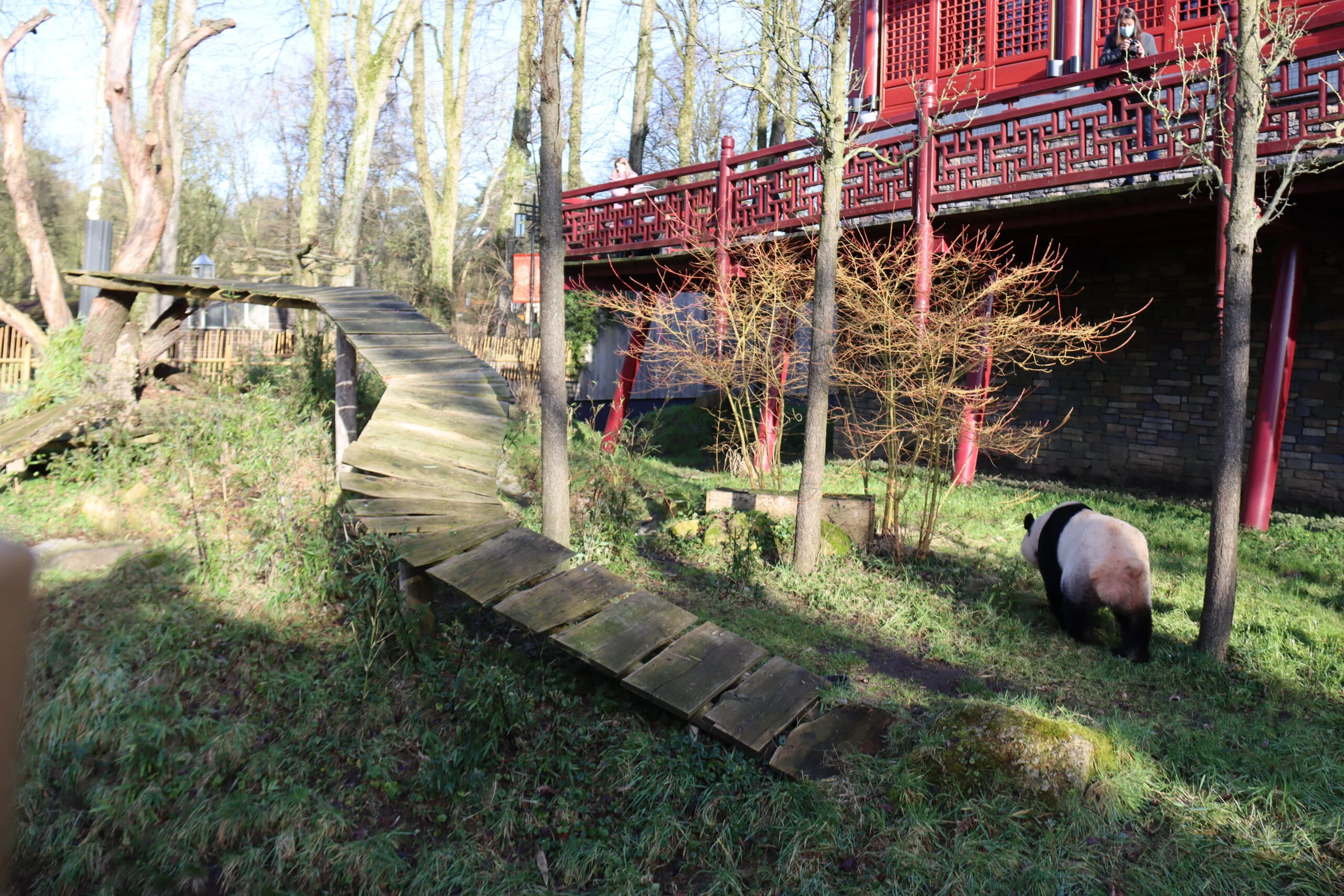 Ouwehands Dierenpark Rhenen