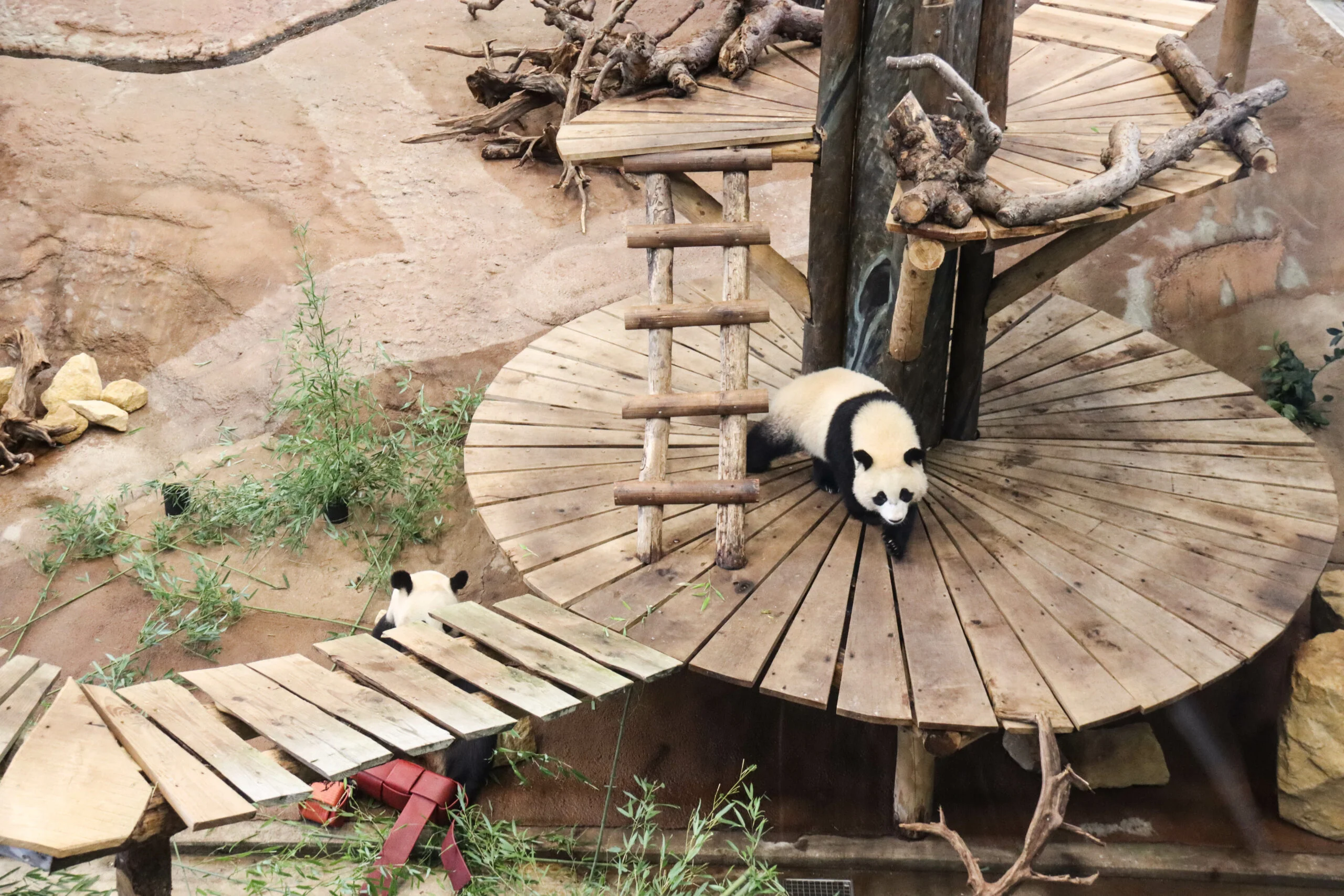 Ouwehands Dierenpark Rhenen