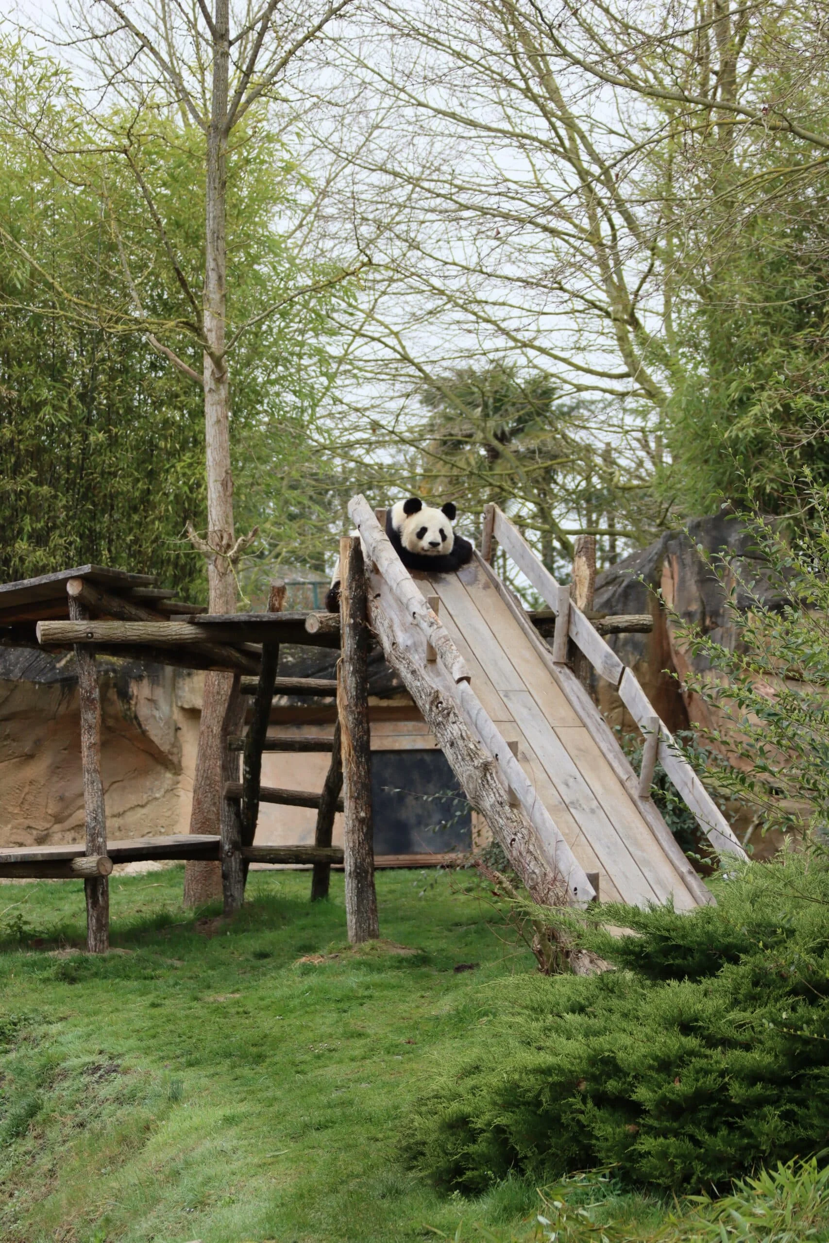 ZooParc de Beauval