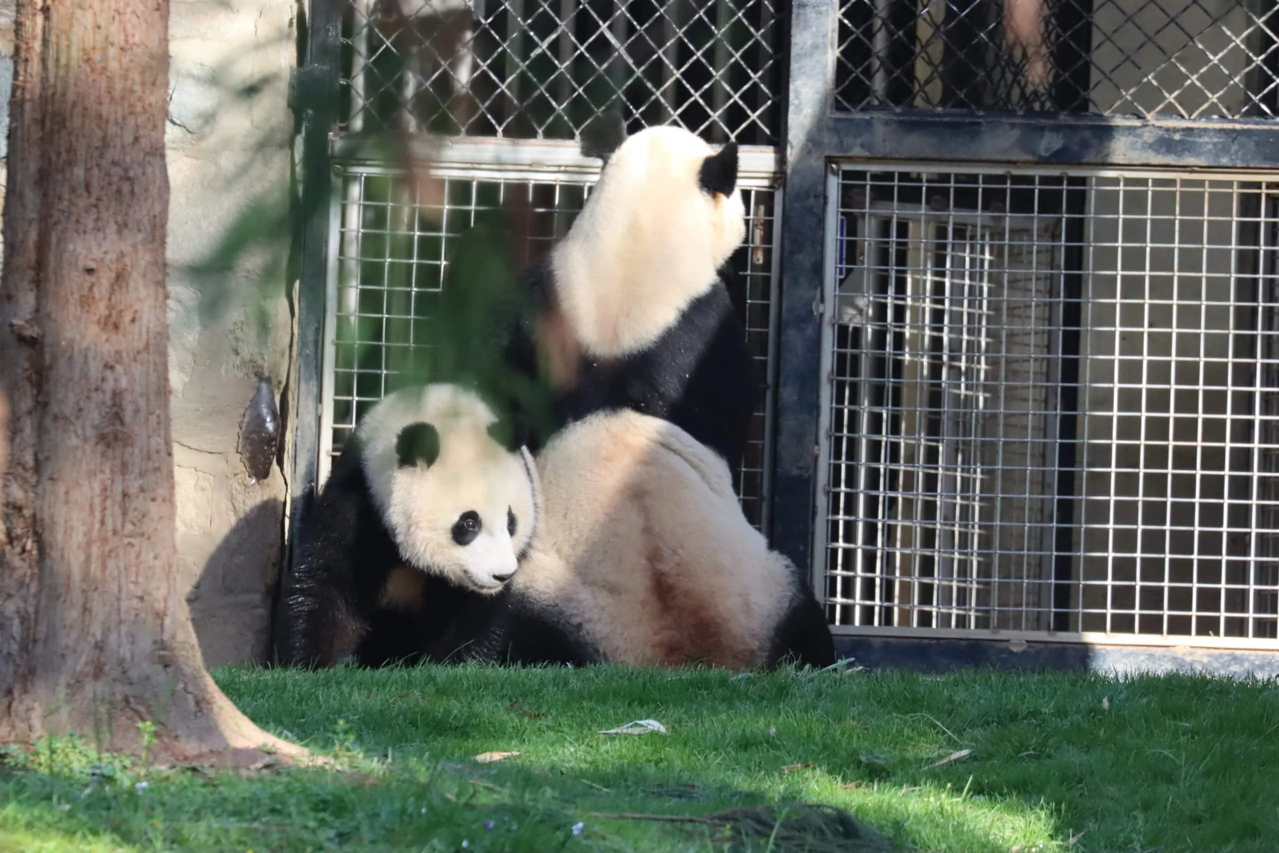 Smithsonian's National Zoo