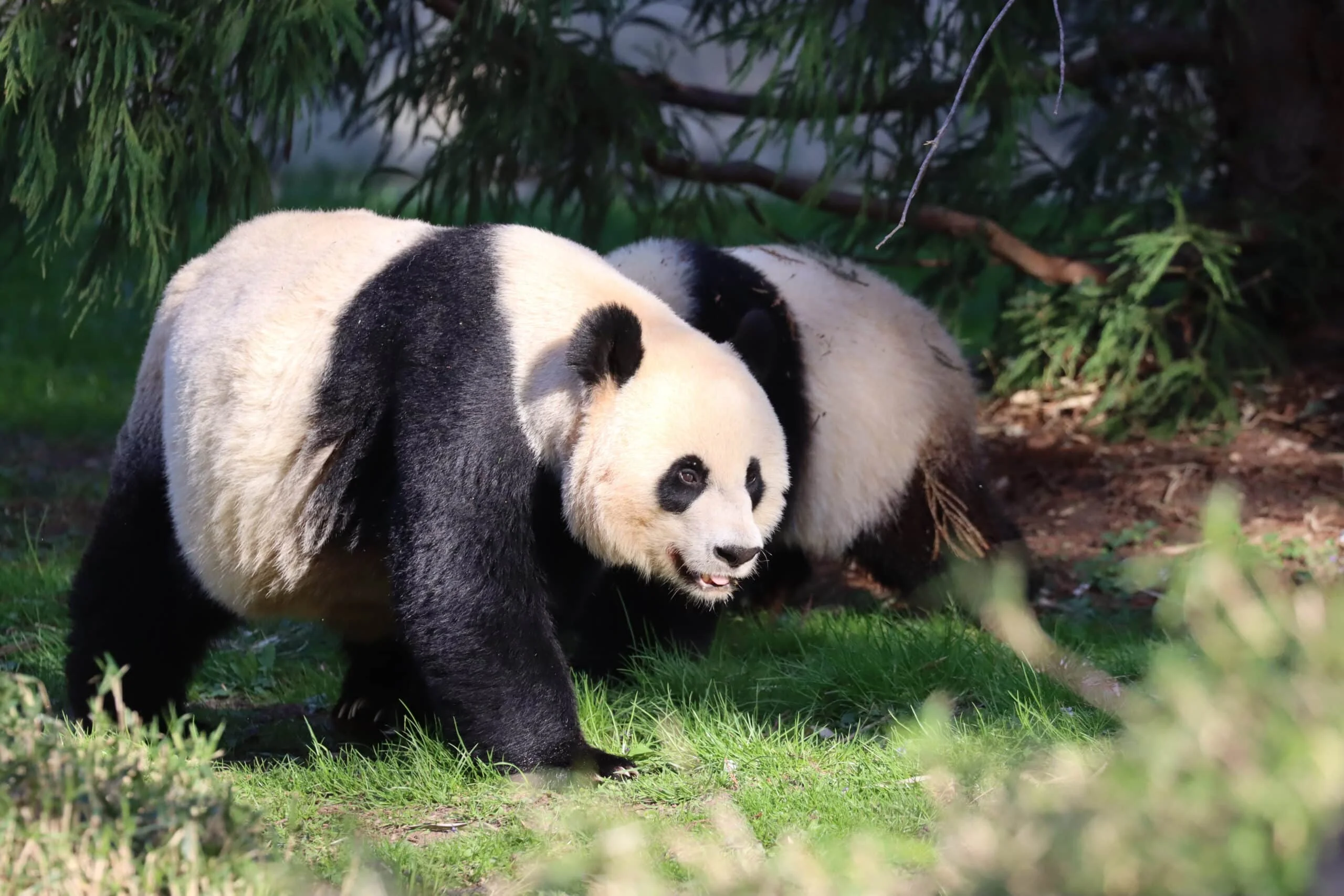 Smithsonian's National Zoo