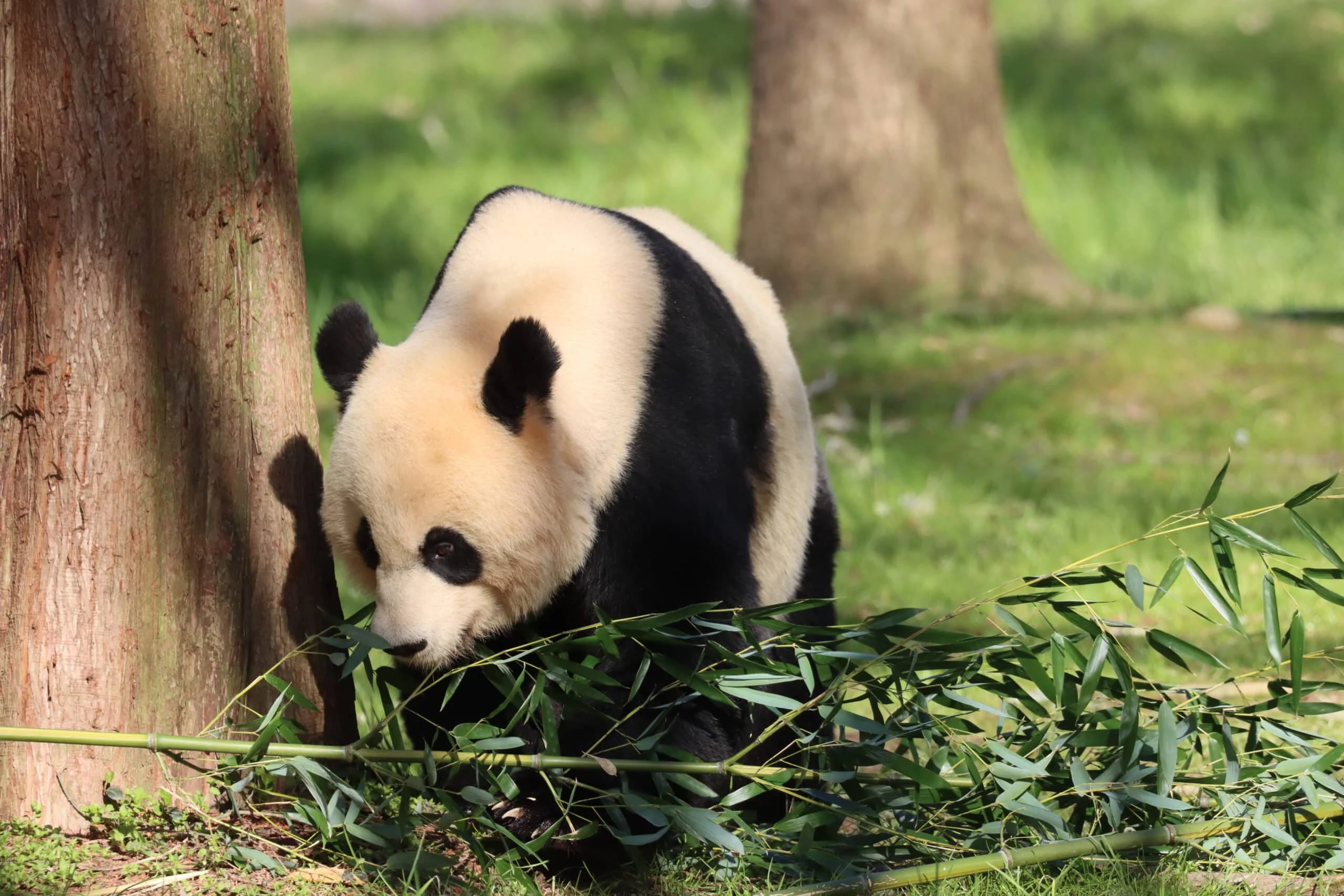 Smithsonian's National Zoo