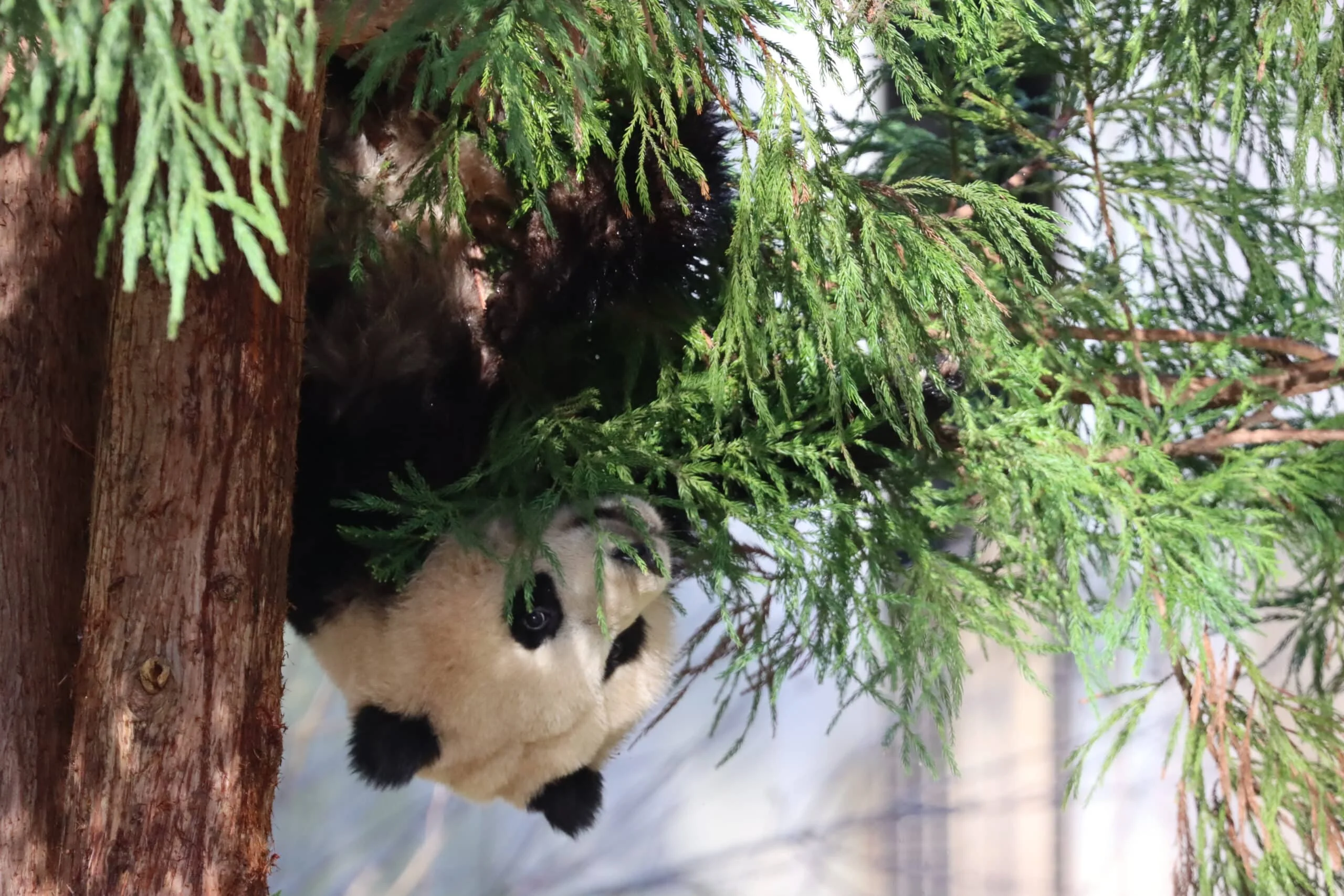 Smithsonian's National Zoo