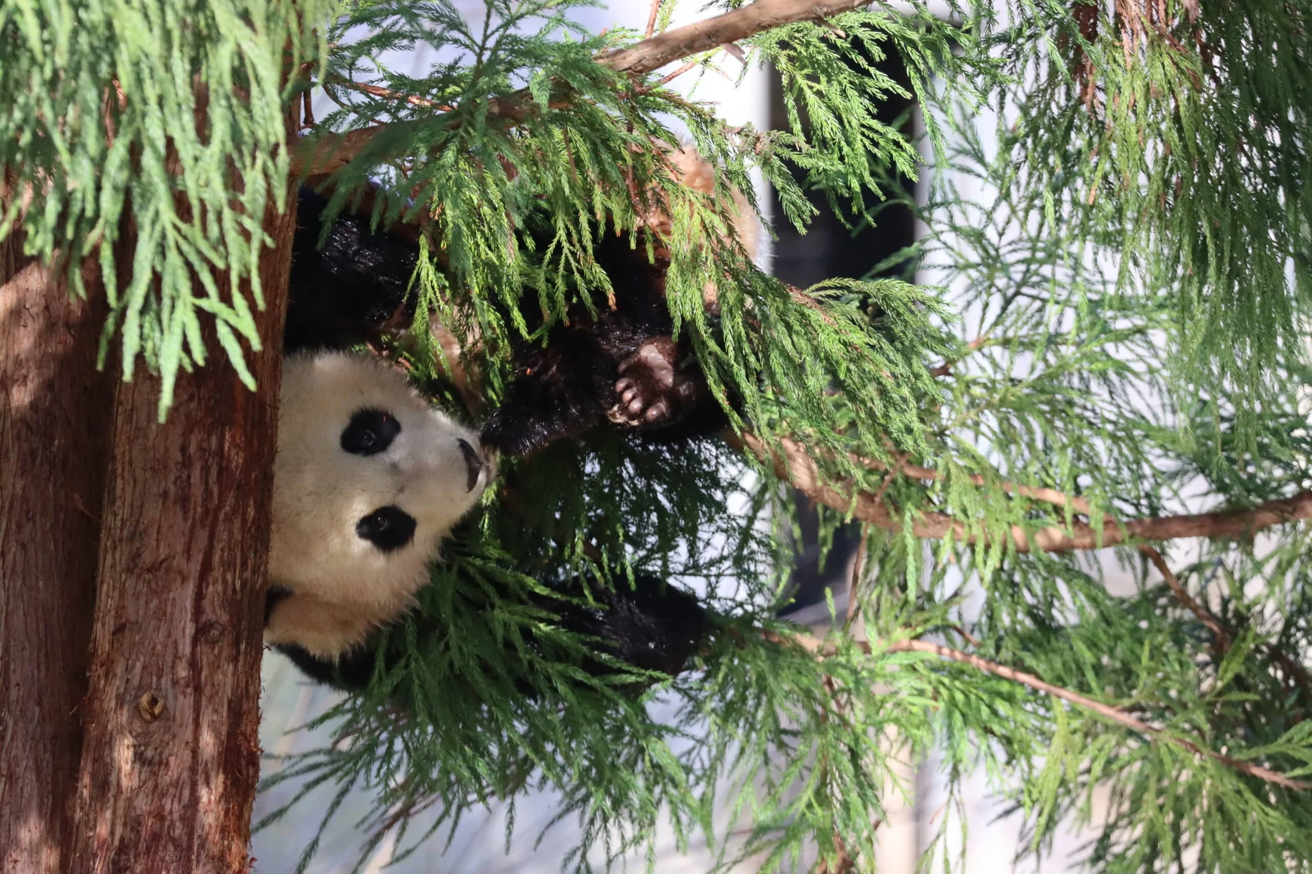 Smithsonian's National Zoo