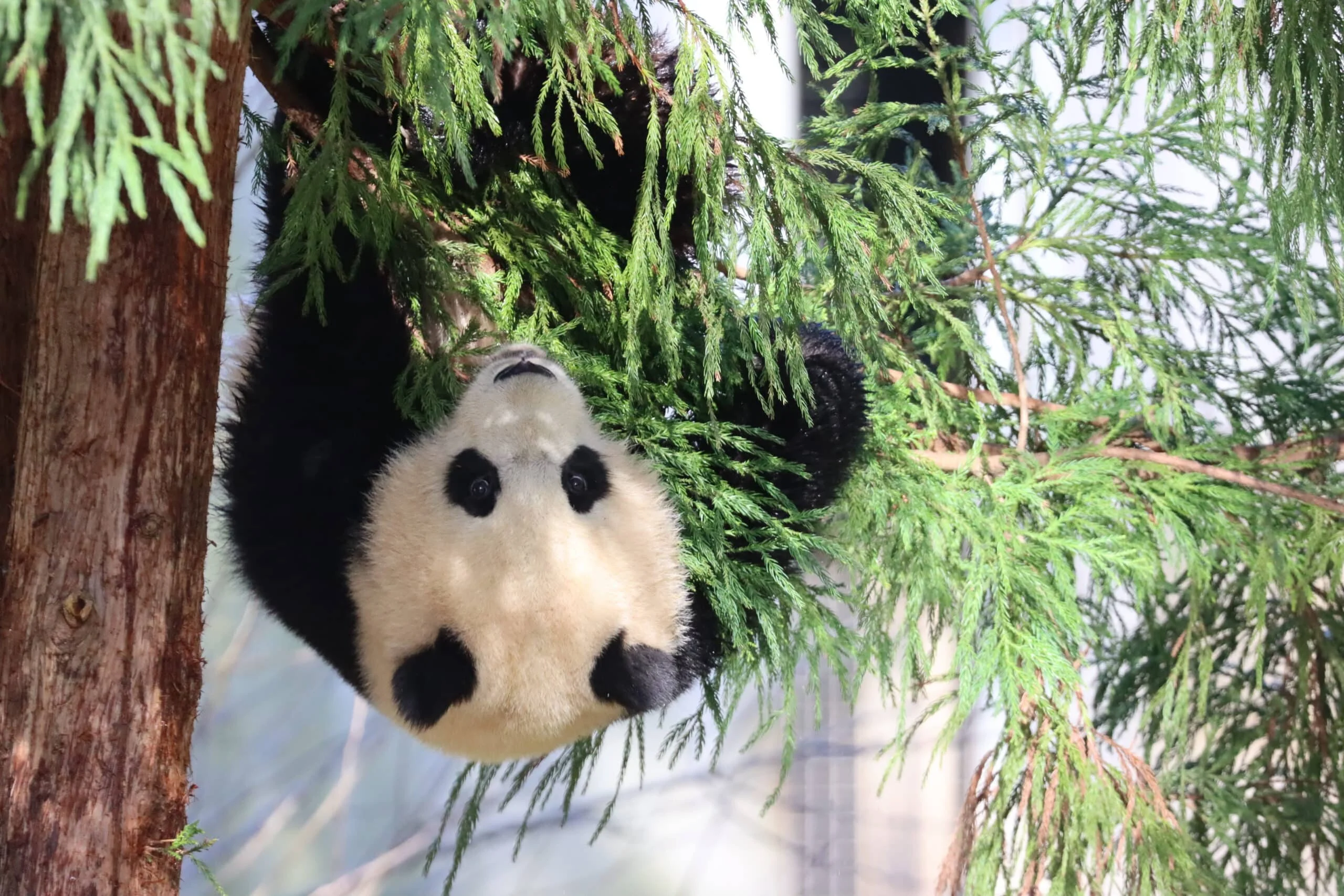 Smithsonian's National Zoo