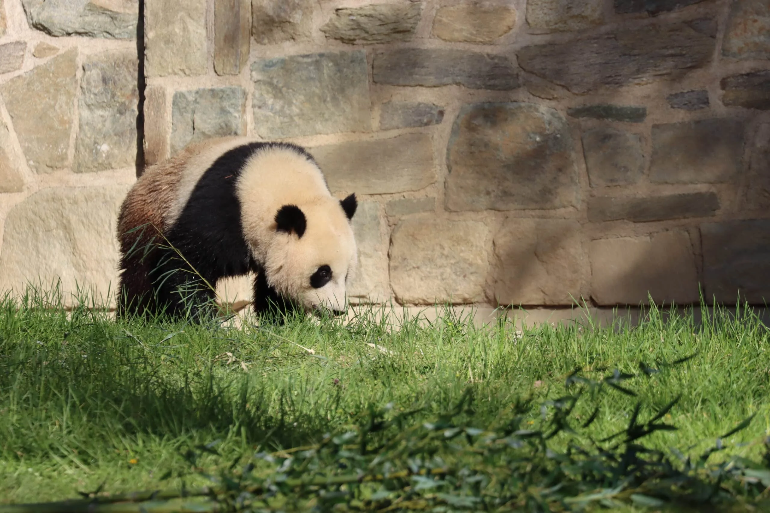 Smithsonian's National Zoo