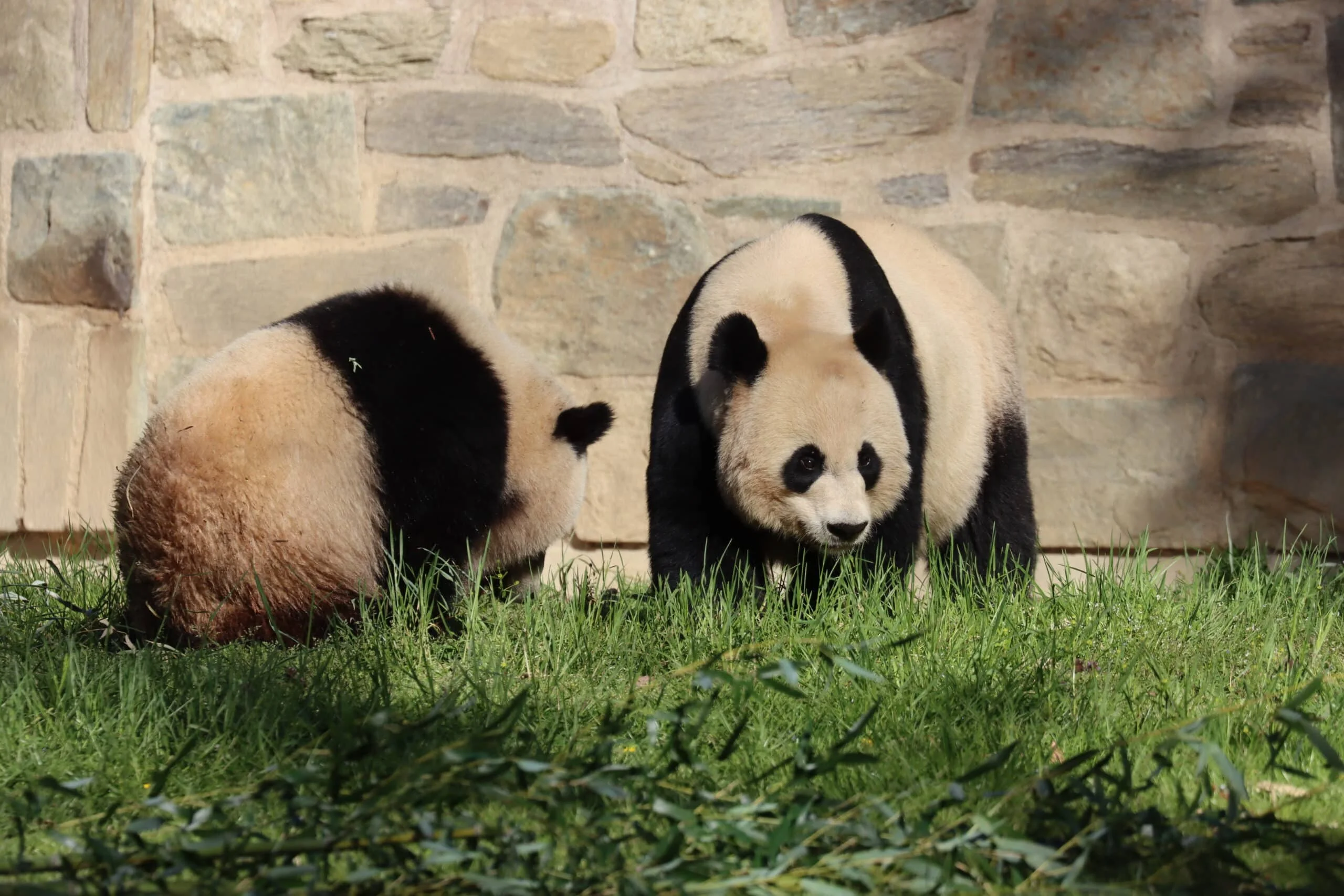 Smithsonian's National Zoo