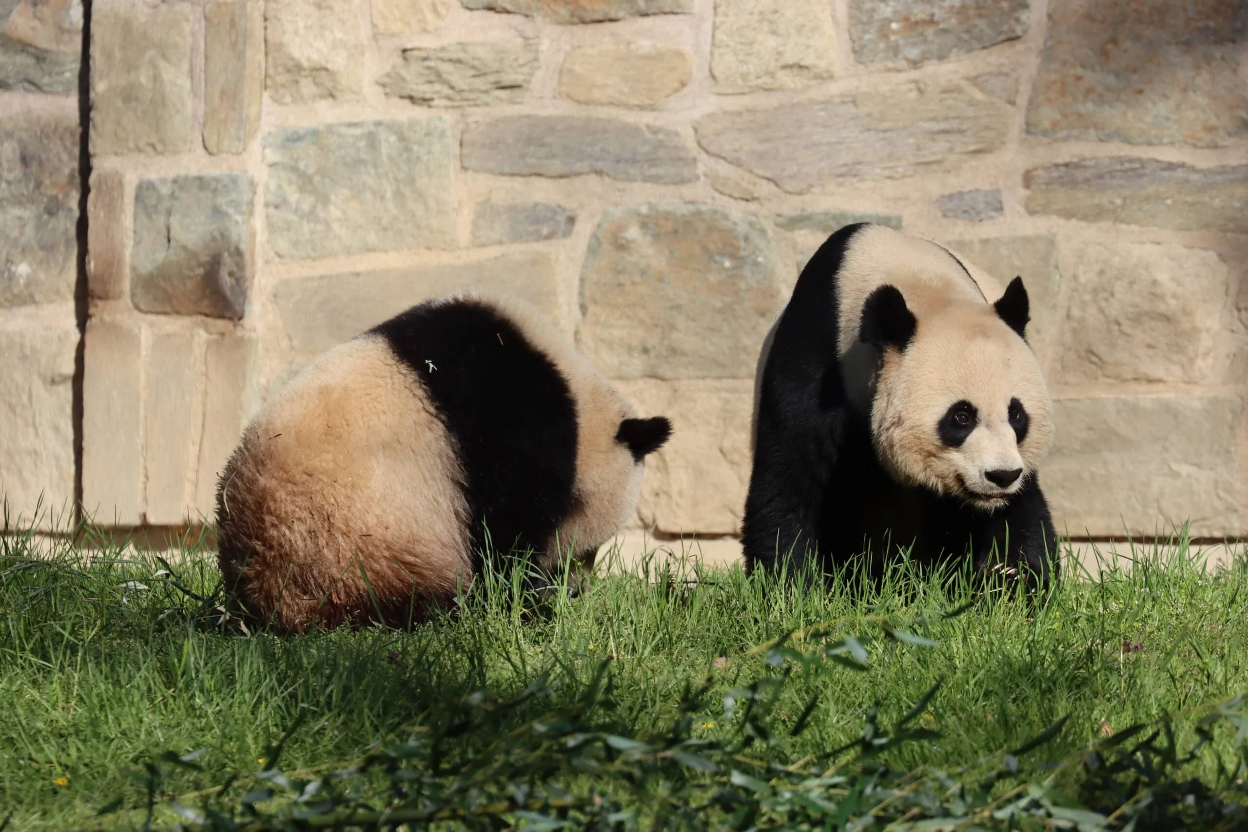 Smithsonian's National Zoo