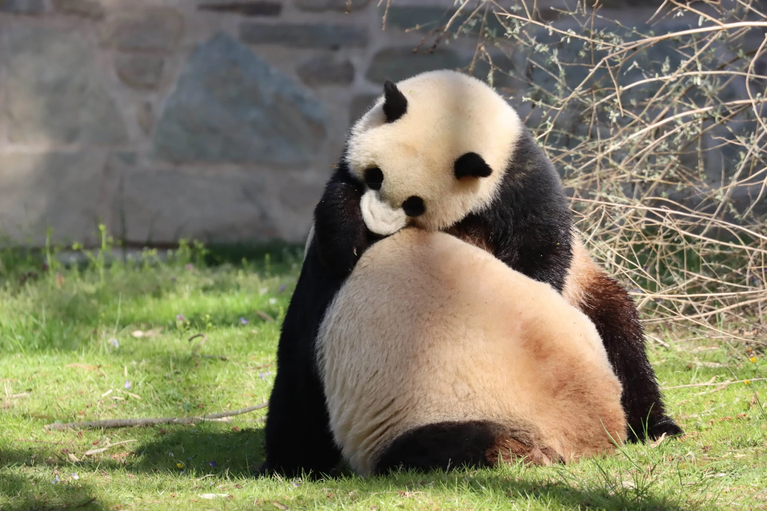 Smithsonian's National Zoo