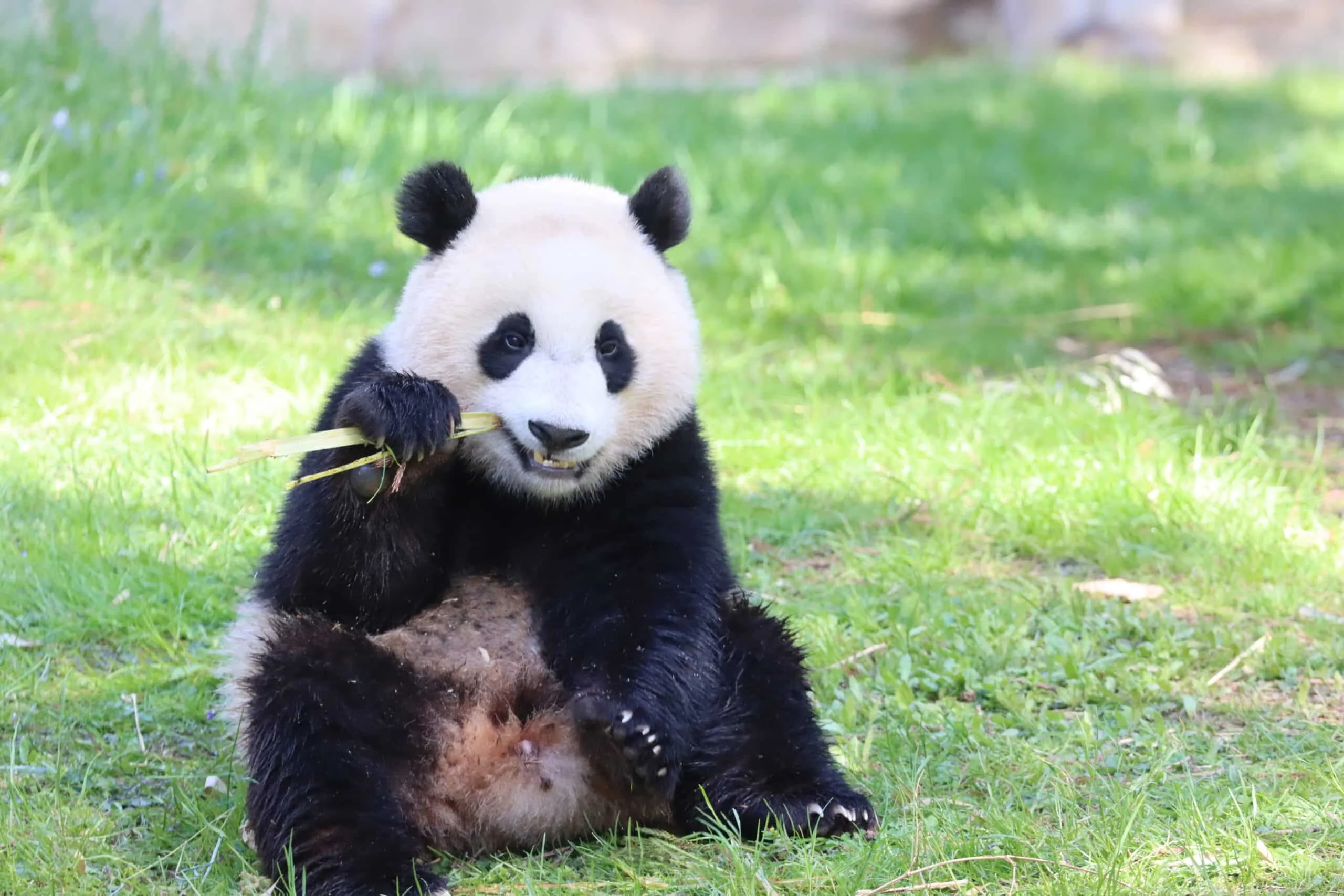 Smithsonian's National Zoo