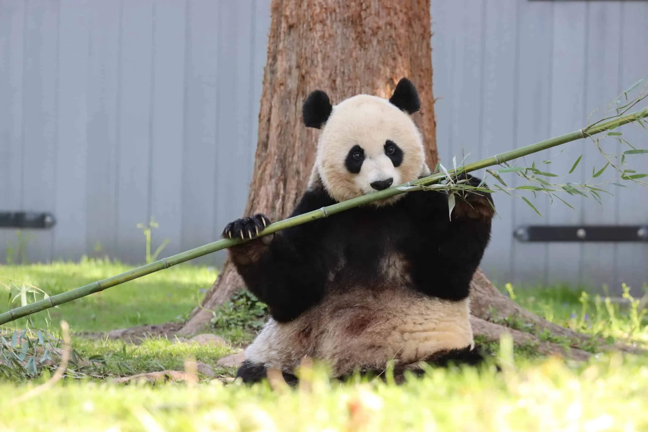 Smithsonian's National Zoo